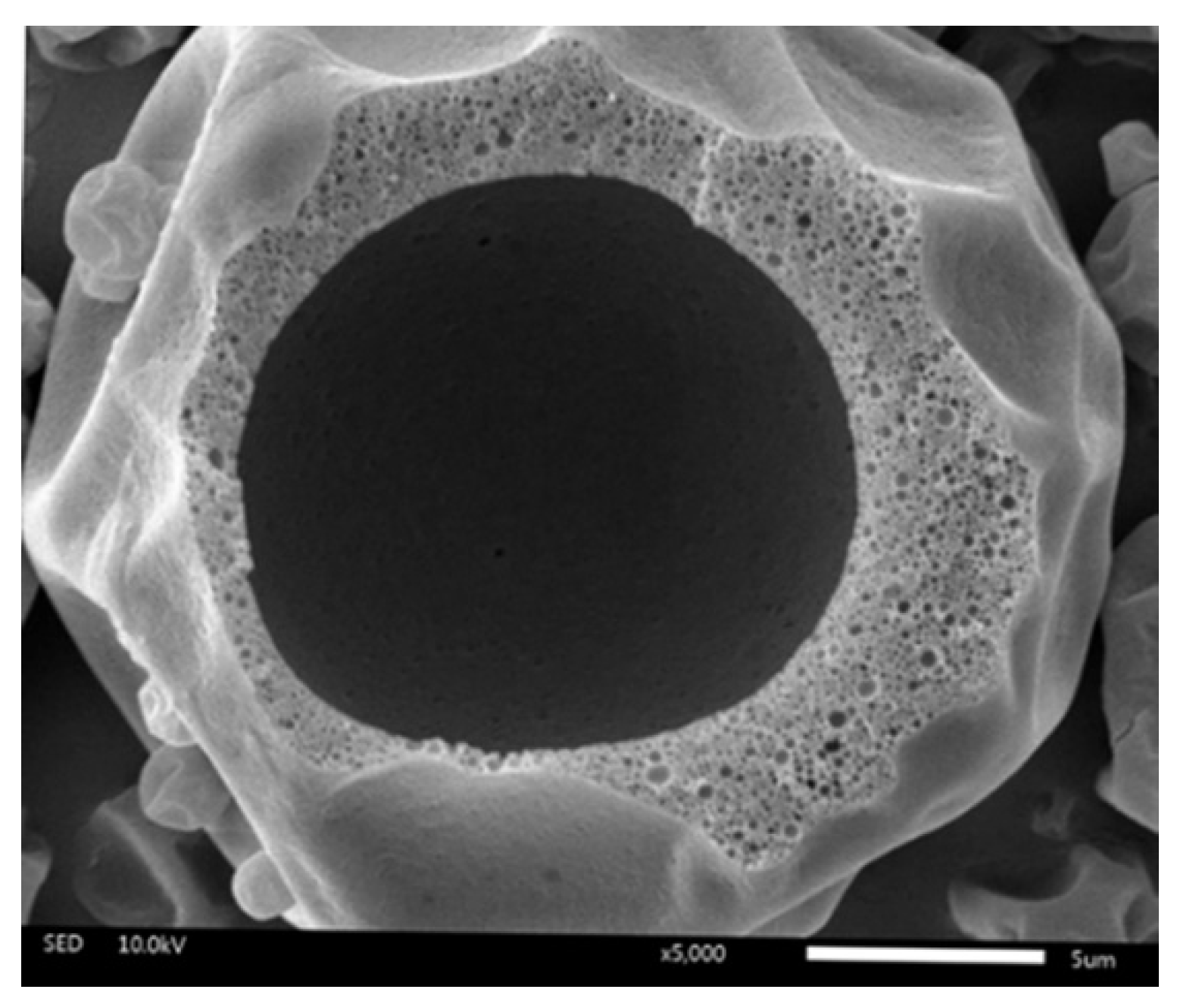 Pharmaceutics 14 01281 g003