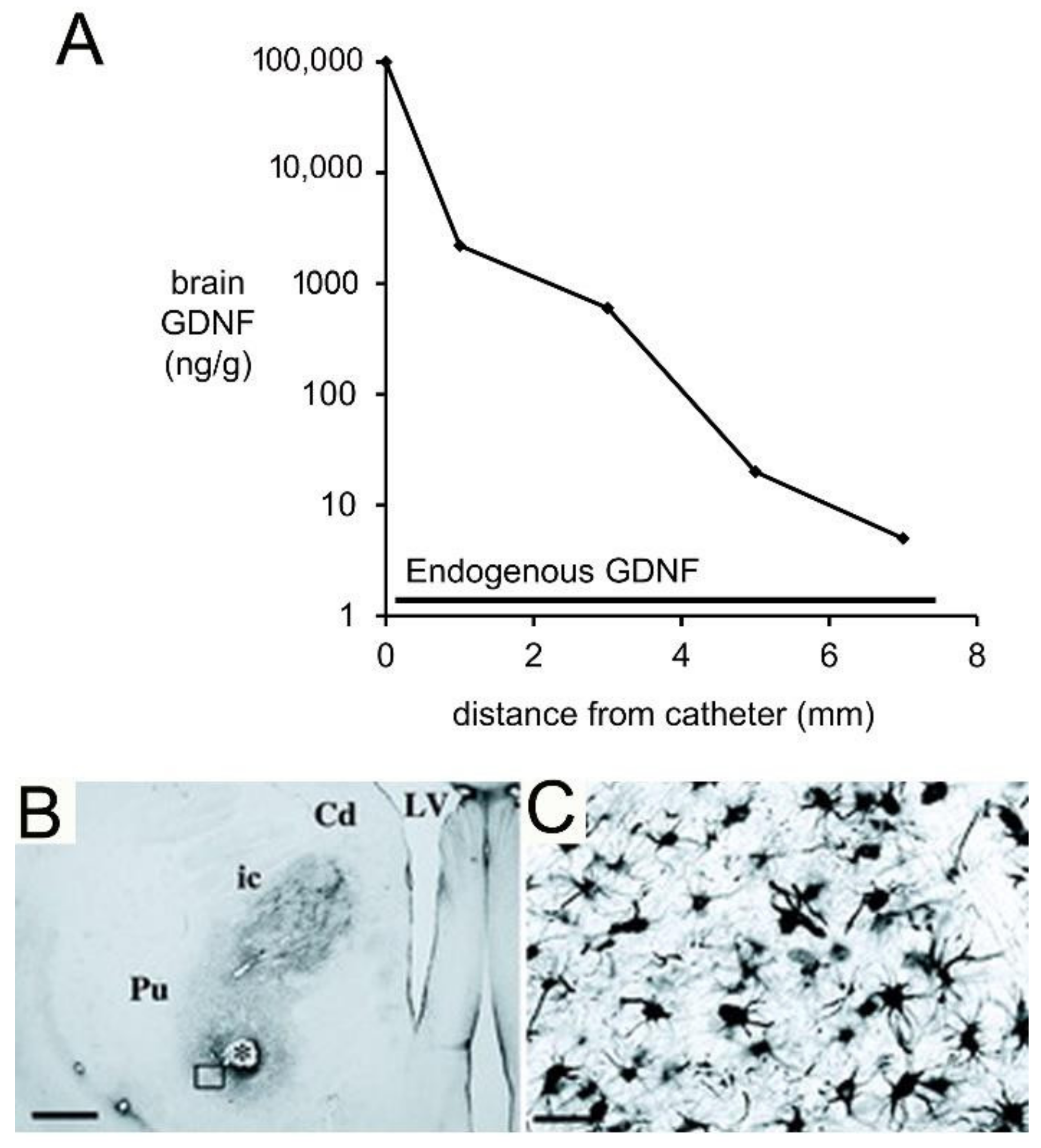 Pharmaceutics 14 01283 g006 Pharmaceutics 14 01283 g006