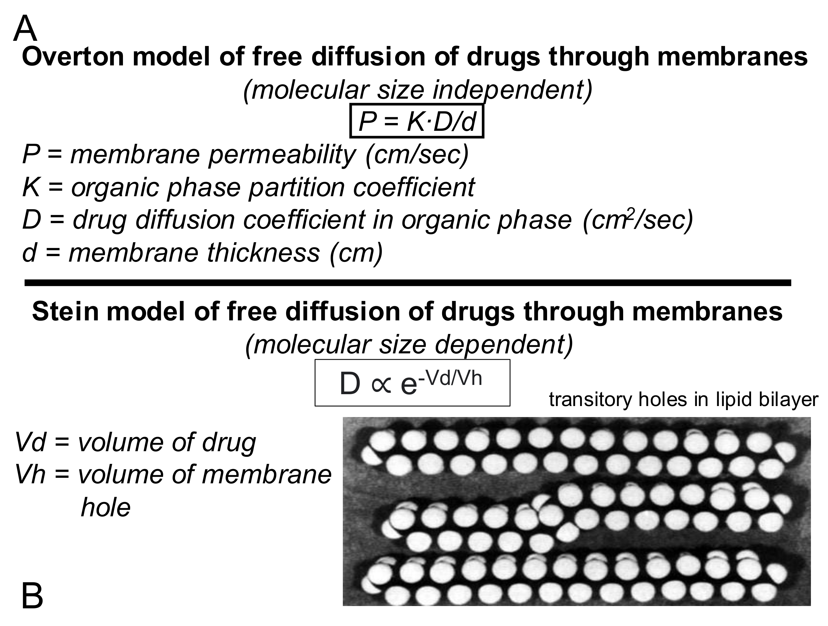 Pharmaceutics 14 01283 g008 Pharmaceutics 14 01283 g008