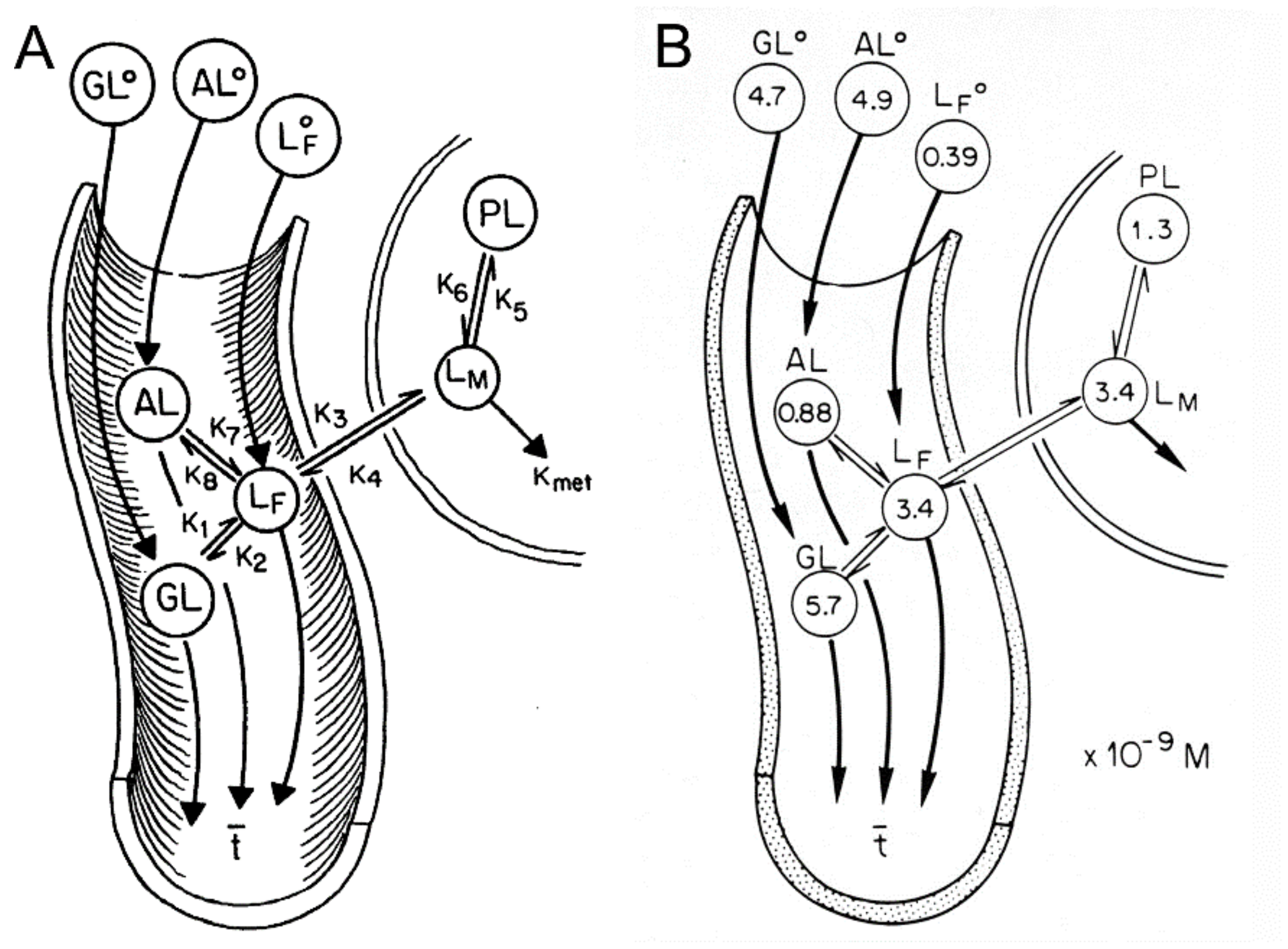 Pharmaceutics 14 01283 g019 Pharmaceutics 14 01283 g019