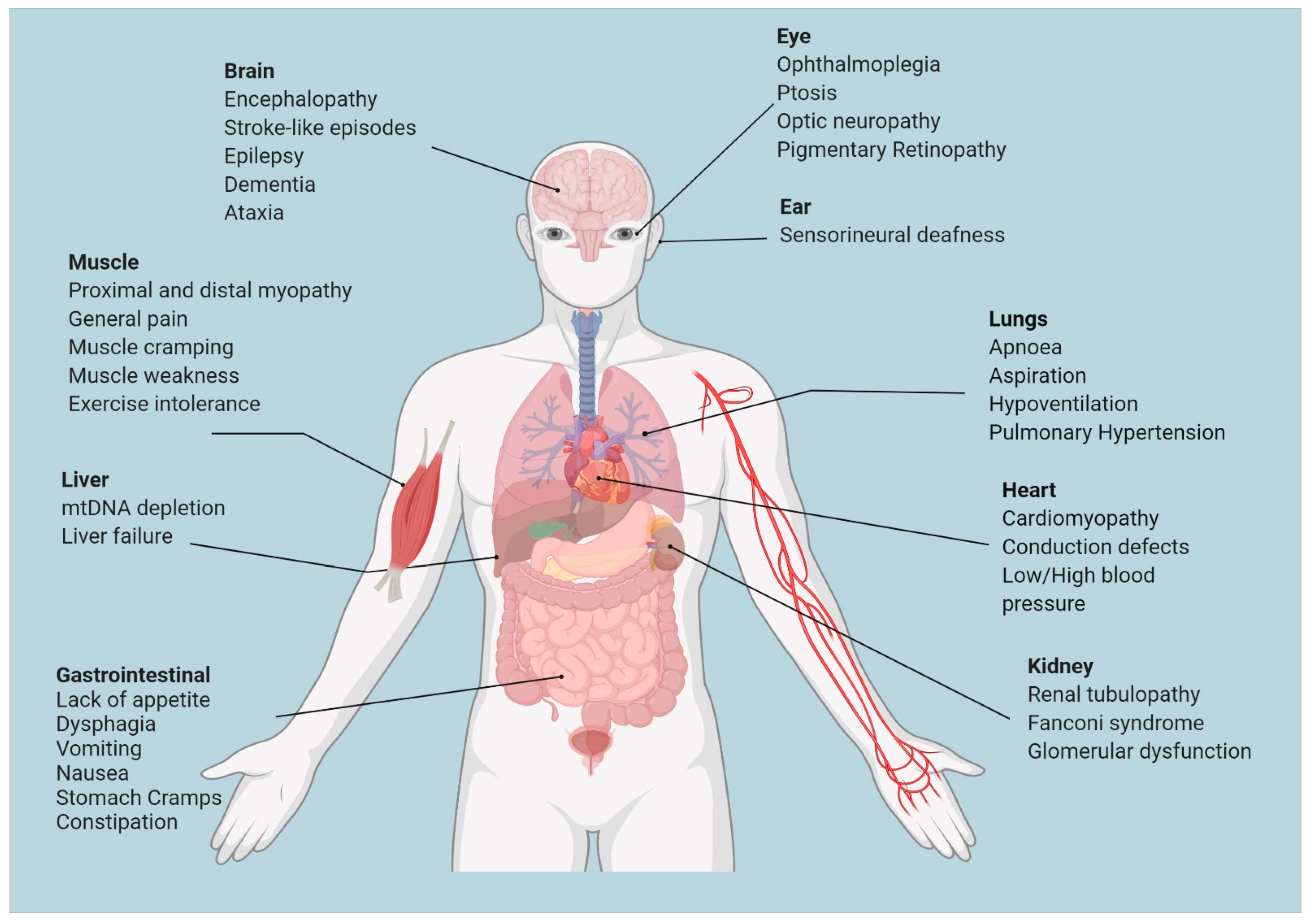 Pharmaceutics 14 01287 g001 Pharmaceutics 14 01287 g001