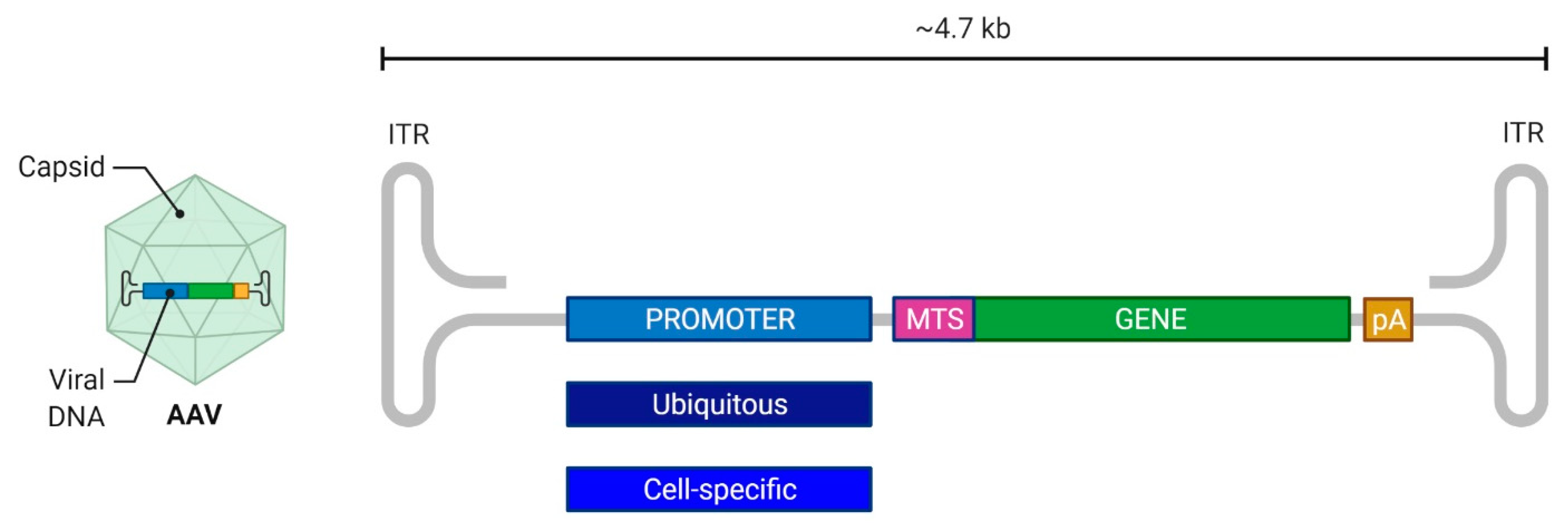 Pharmaceutics 14 01287 g002 Pharmaceutics 14 01287 g002