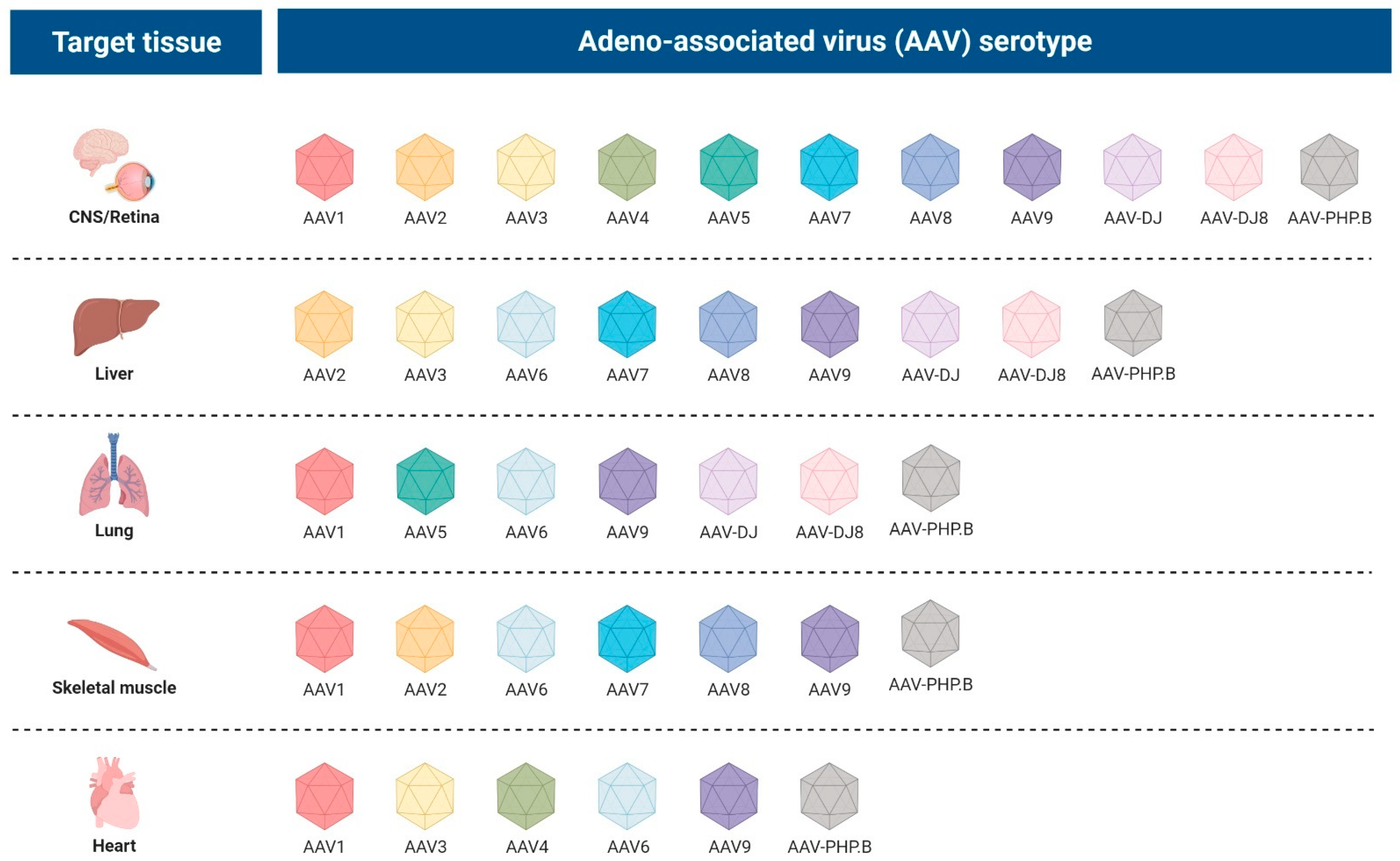 Pharmaceutics 14 01287 g003 Pharmaceutics 14 01287 g003