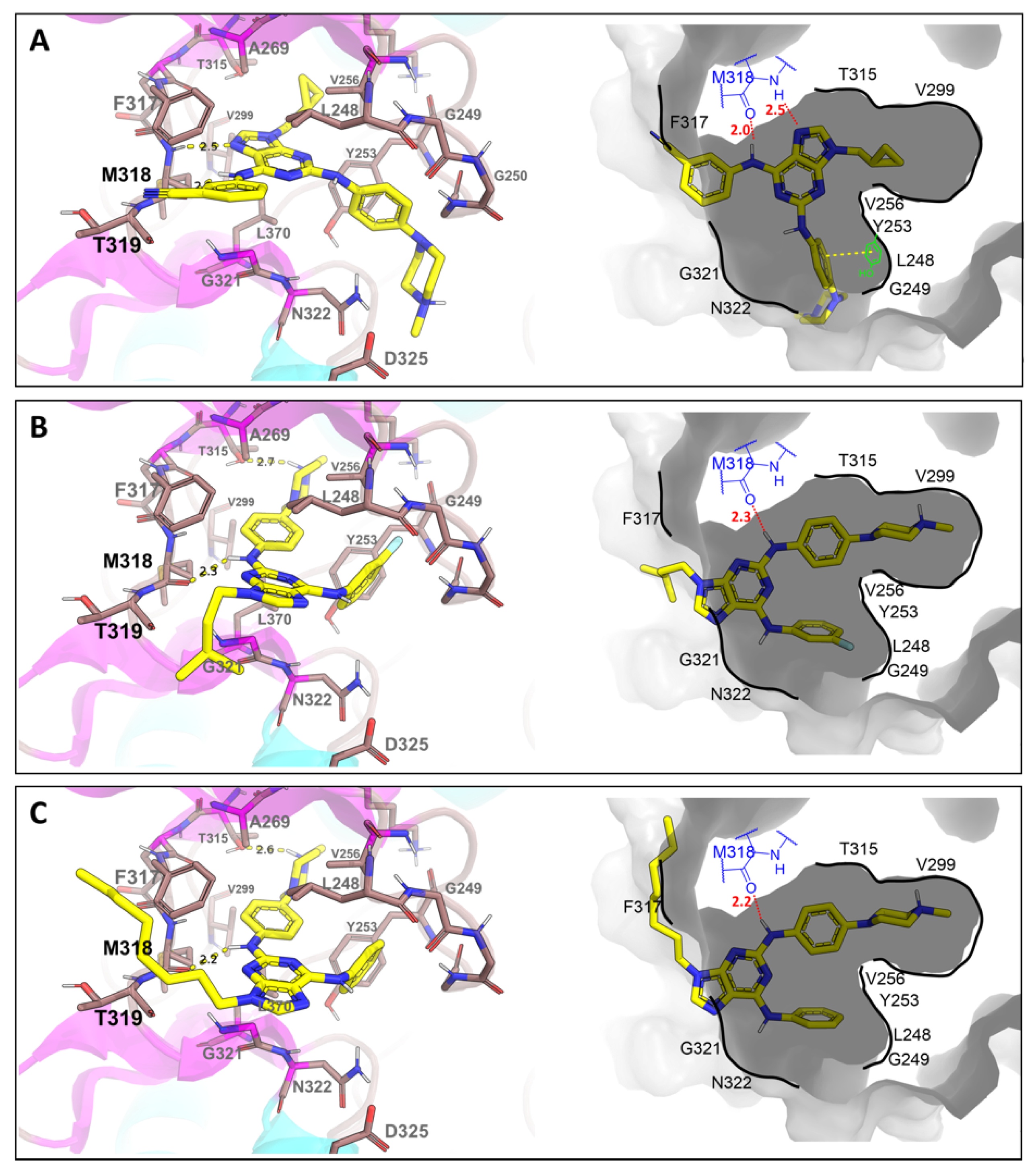 Pharmaceutics 14 01294 g008