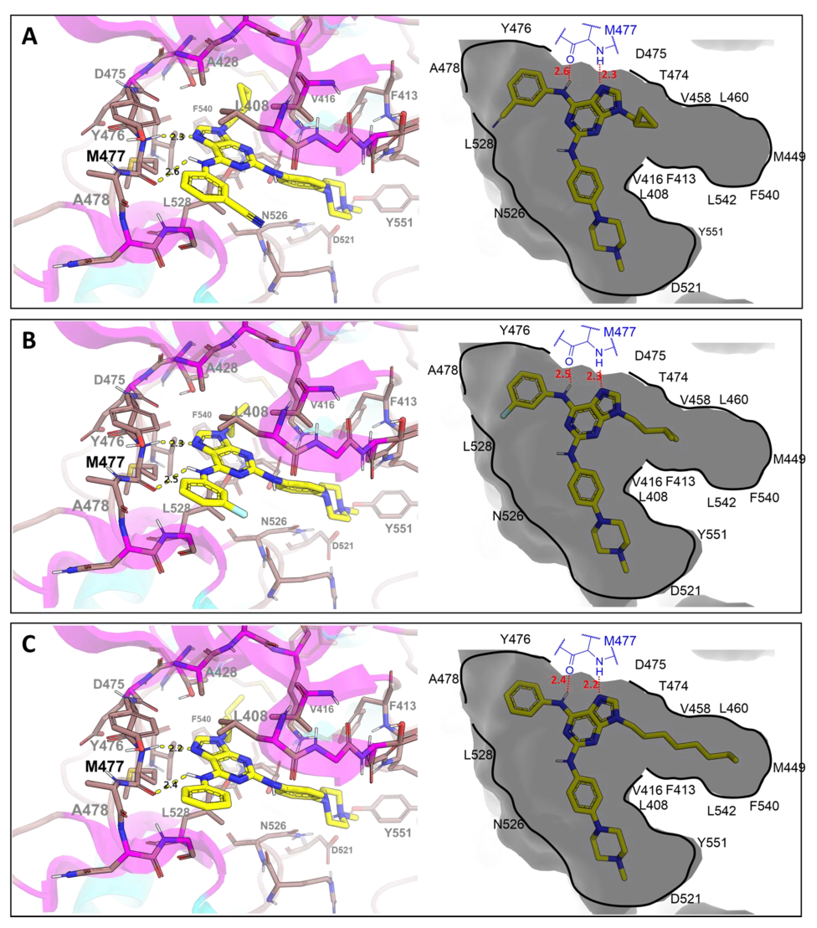 Pharmaceutics 14 01294 g009