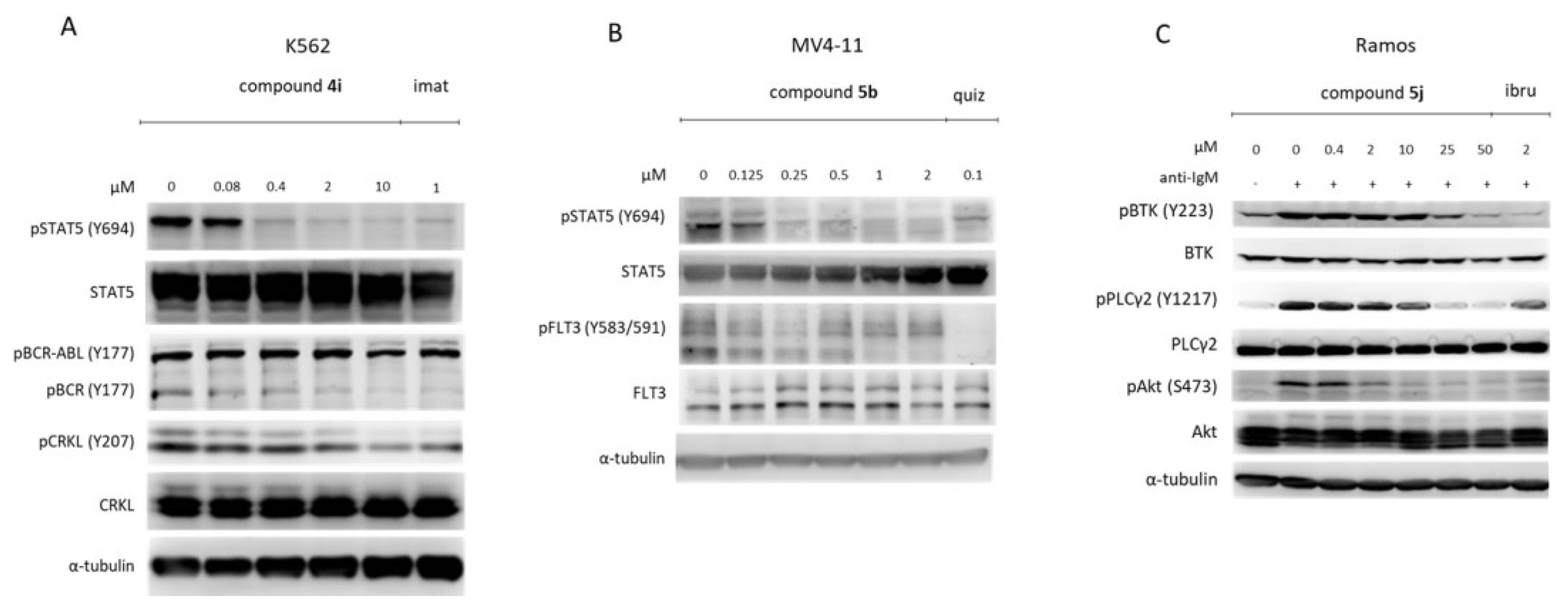 Pharmaceutics 14 01294 g012