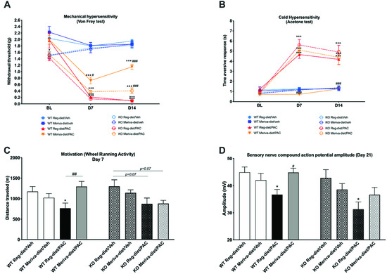 Pharmaceutics 14 01296 g007 550
