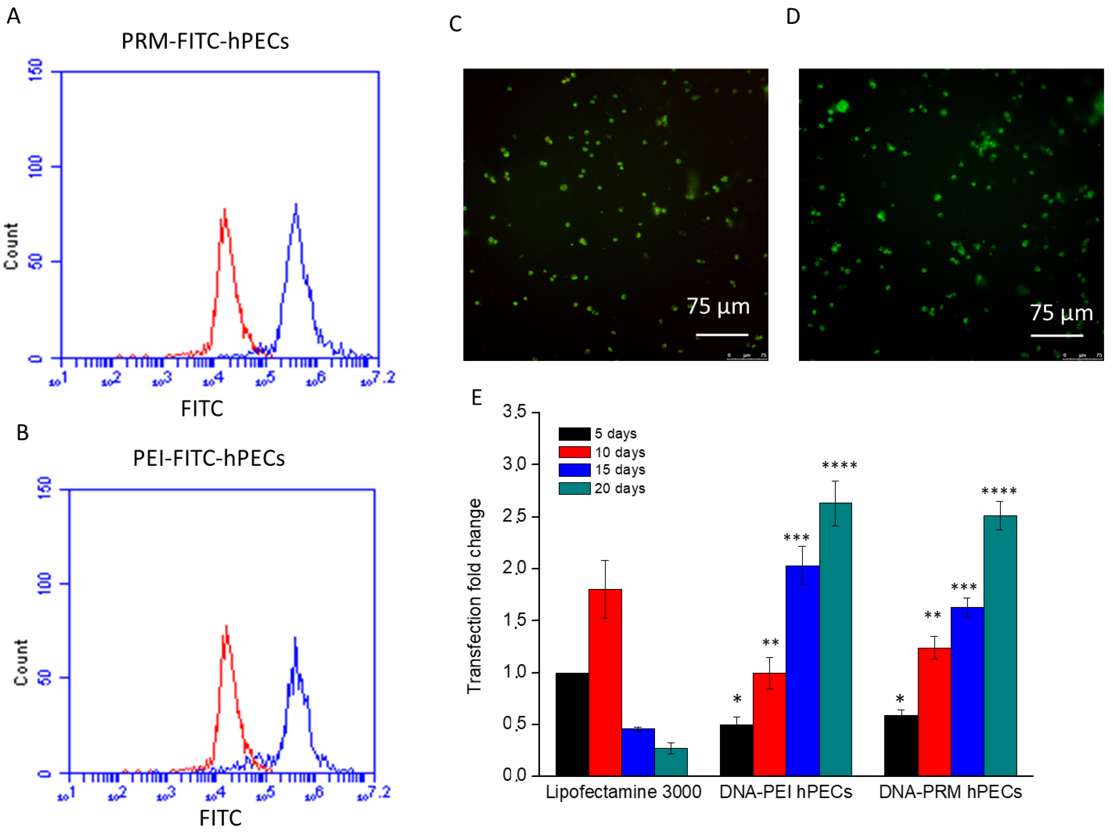 Pharmaceutics 14 01310 g003