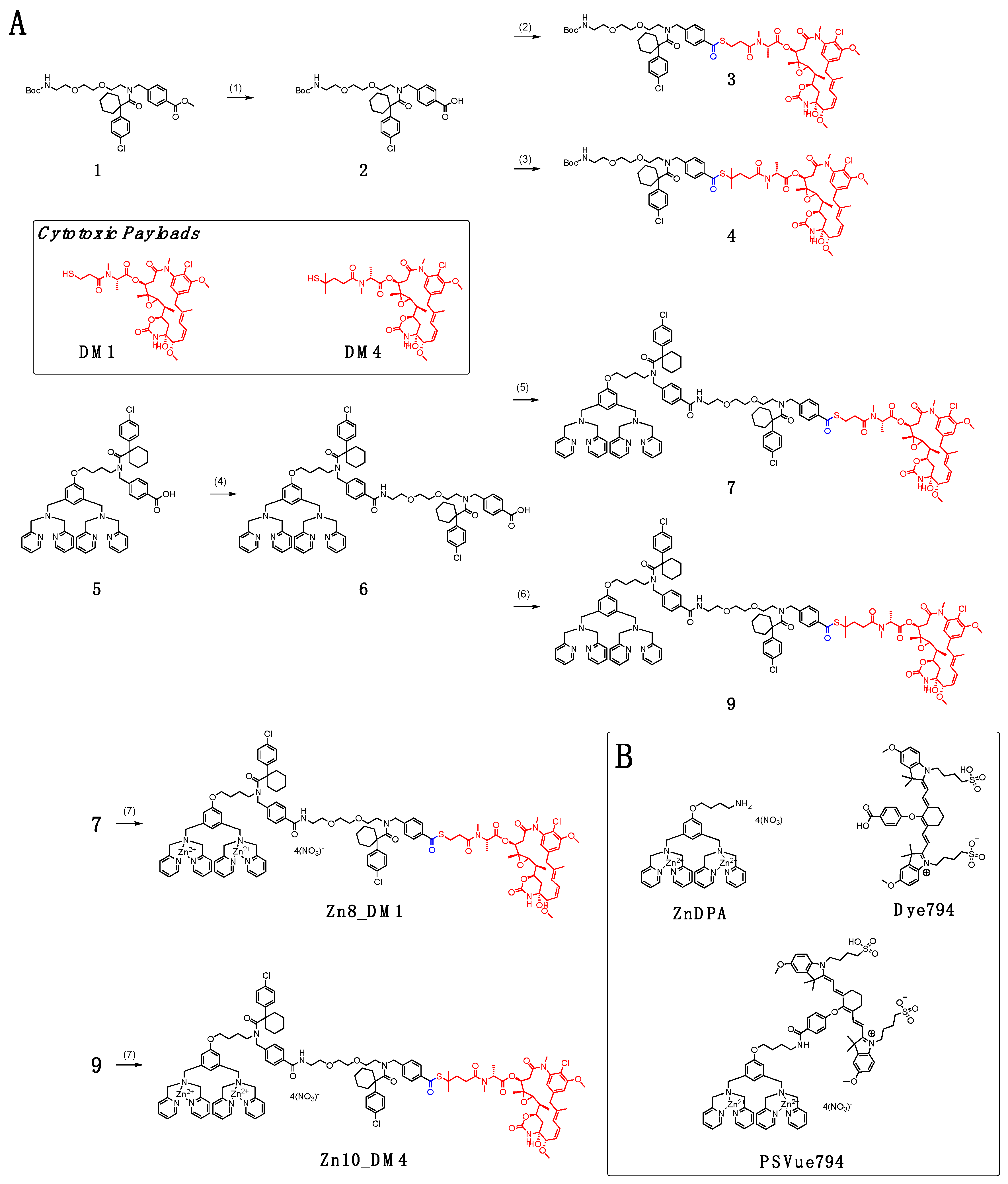 Pharmaceutics 14 01316 sch001