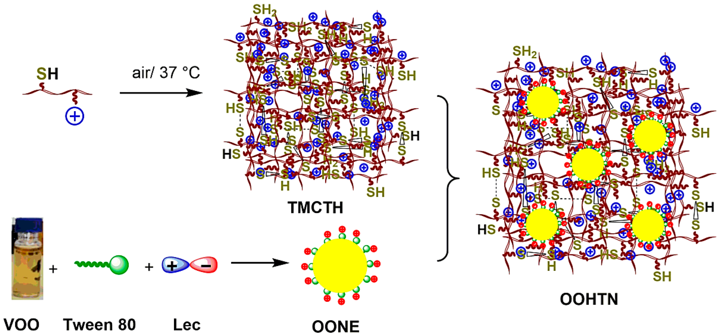 Pharmaceutics 14 01319 g001