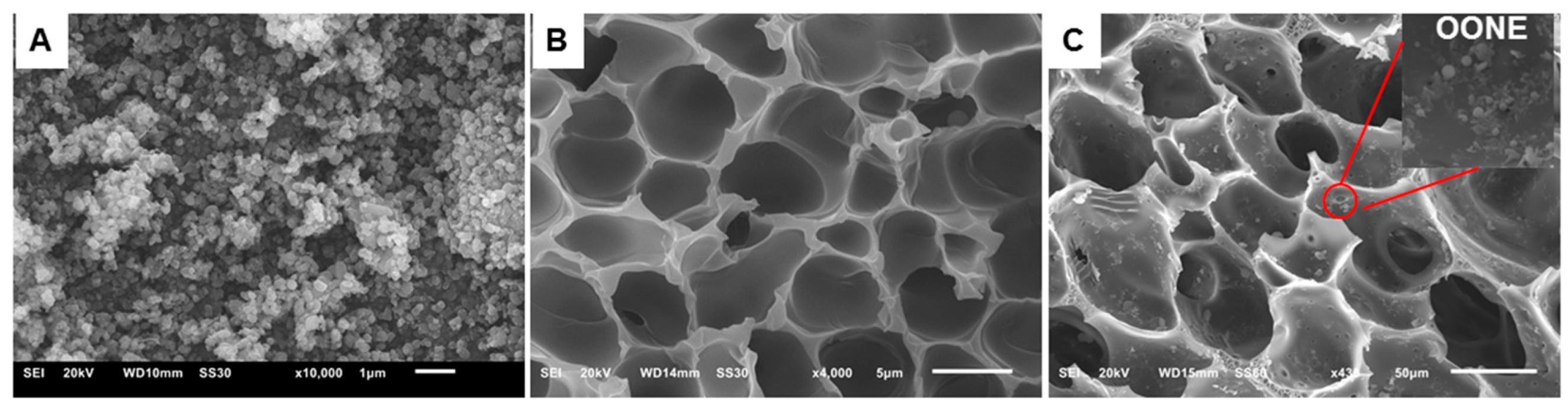 Pharmaceutics 14 01319 g004