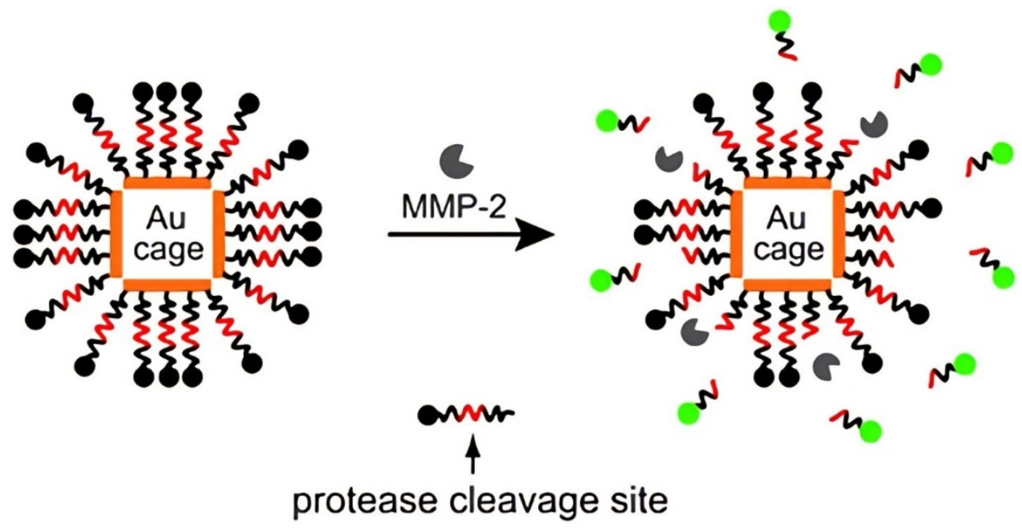 Pharmaceutics 14 01321 g001