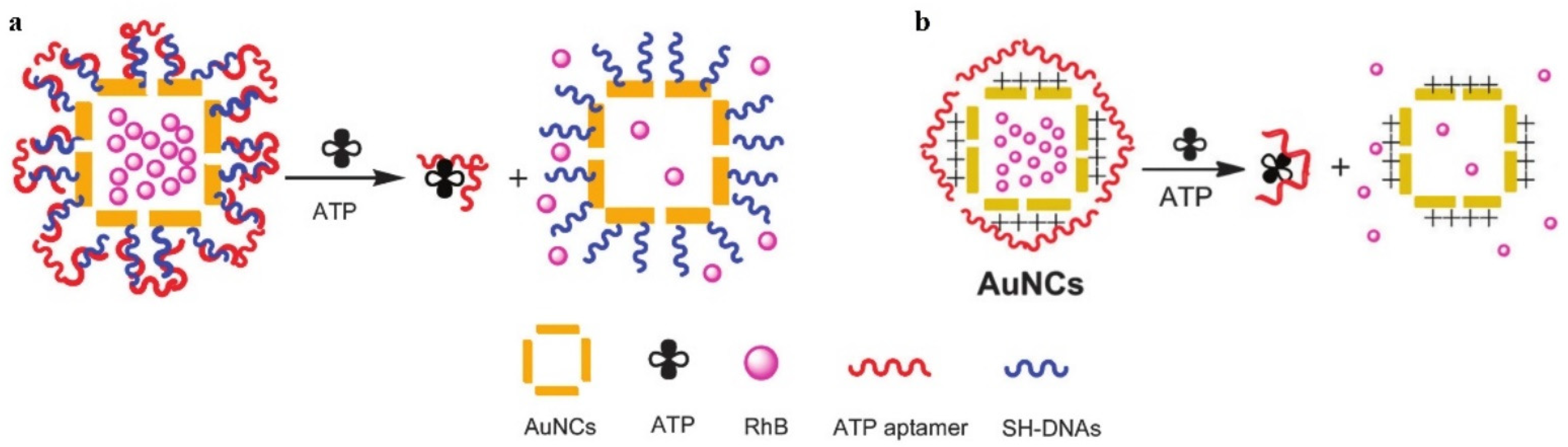 Pharmaceutics 14 01321 g002