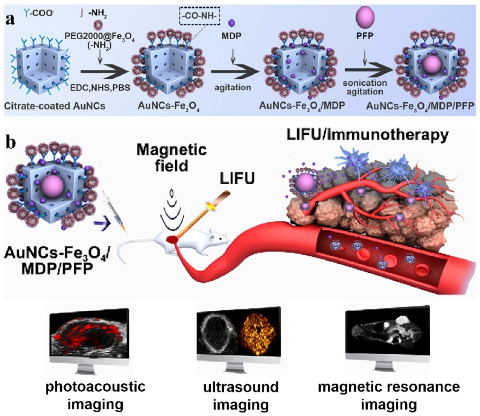 Pharmaceutics 14 01321 g007