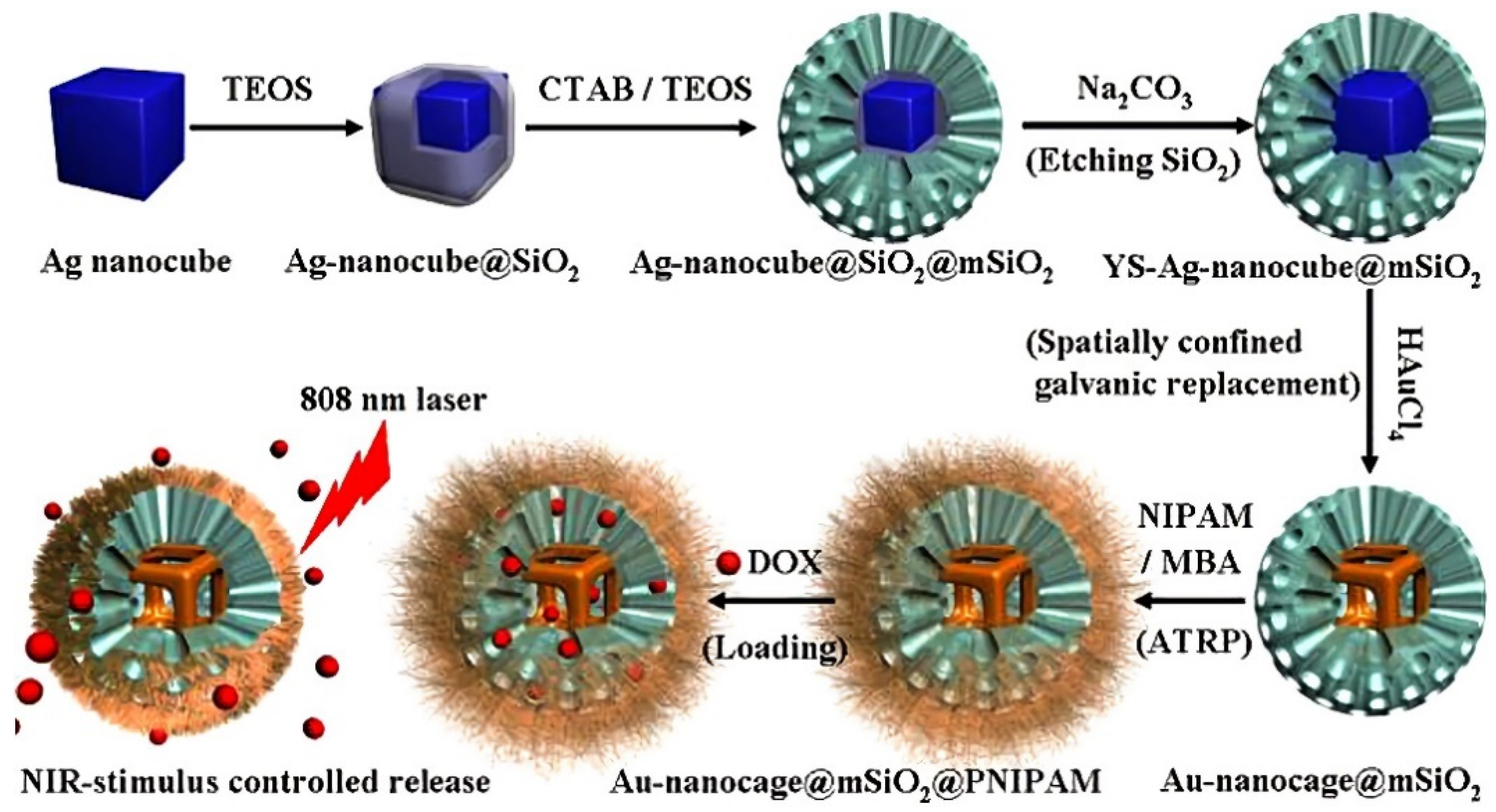 Pharmaceutics 14 01321 g008