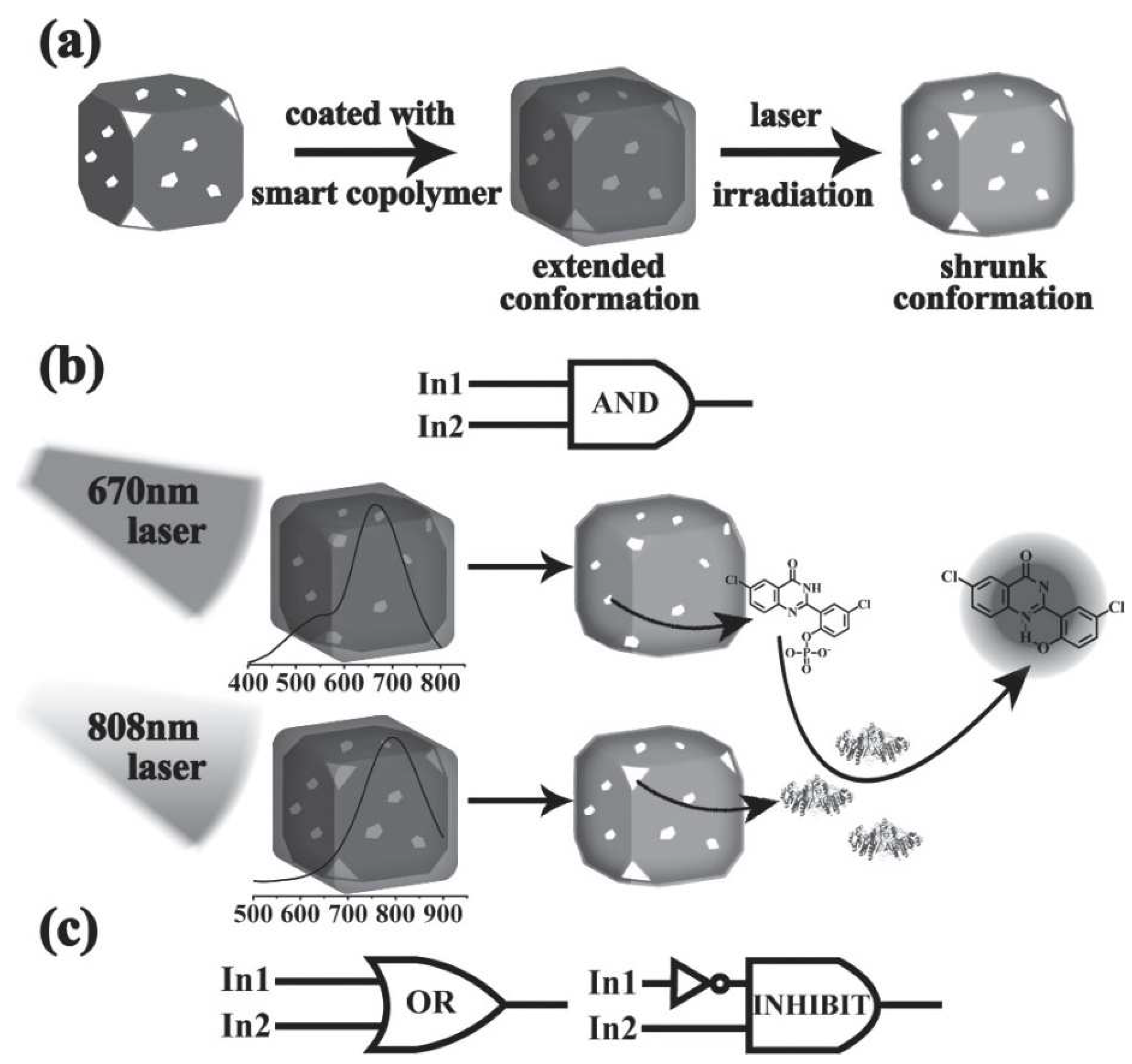 Pharmaceutics 14 01321 g010