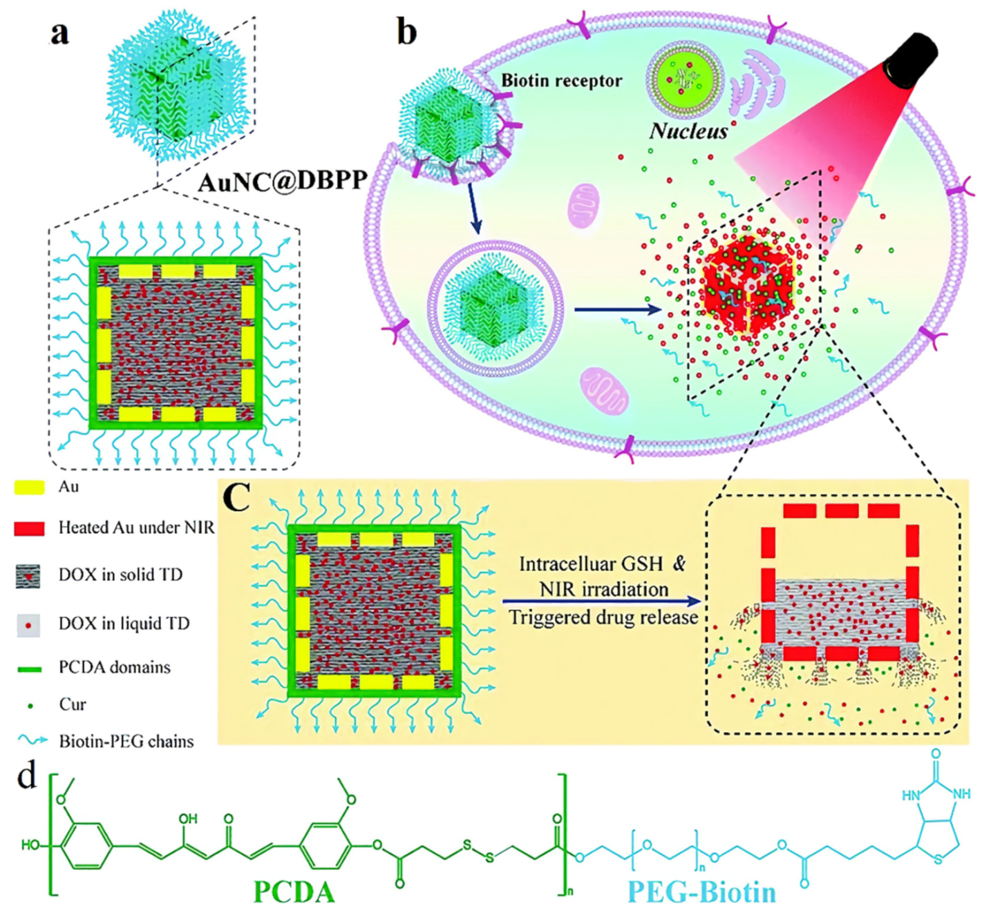 Pharmaceutics 14 01321 g011
