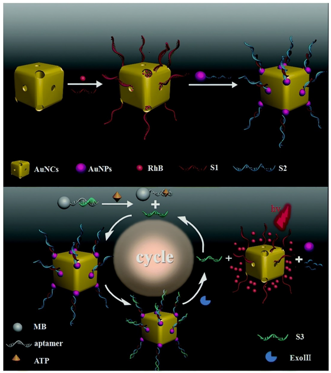 Pharmaceutics 14 01321 g013