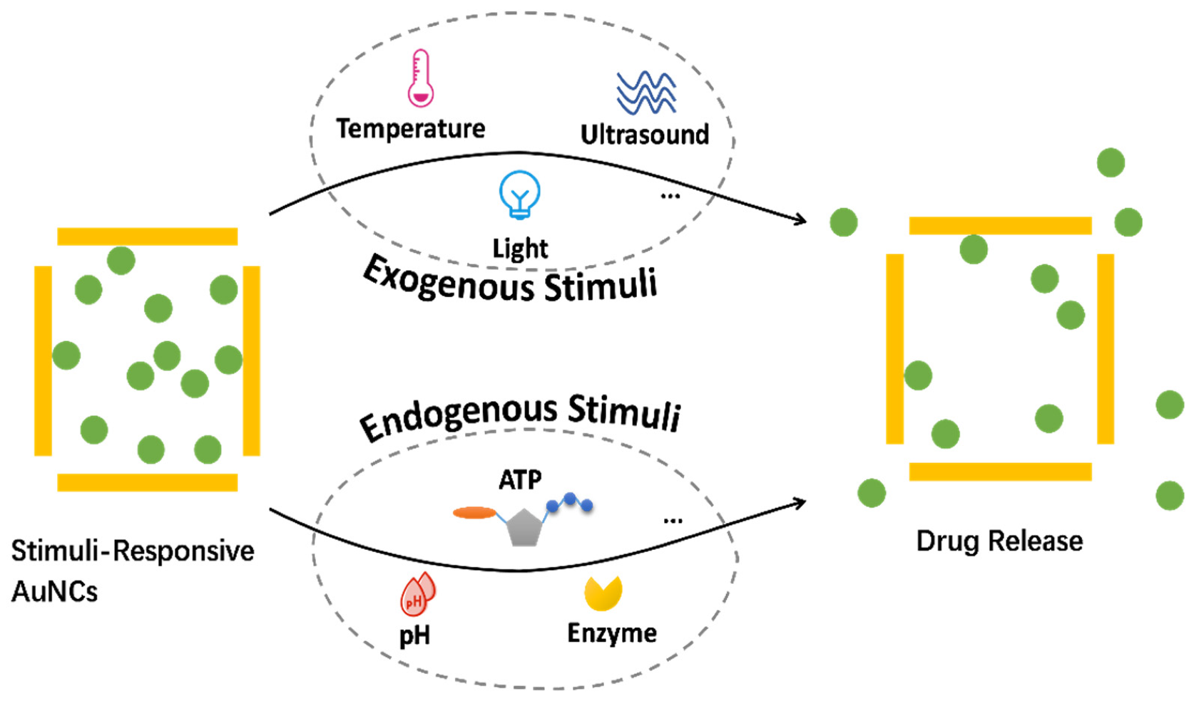 Pharmaceutics 14 01321 sch001