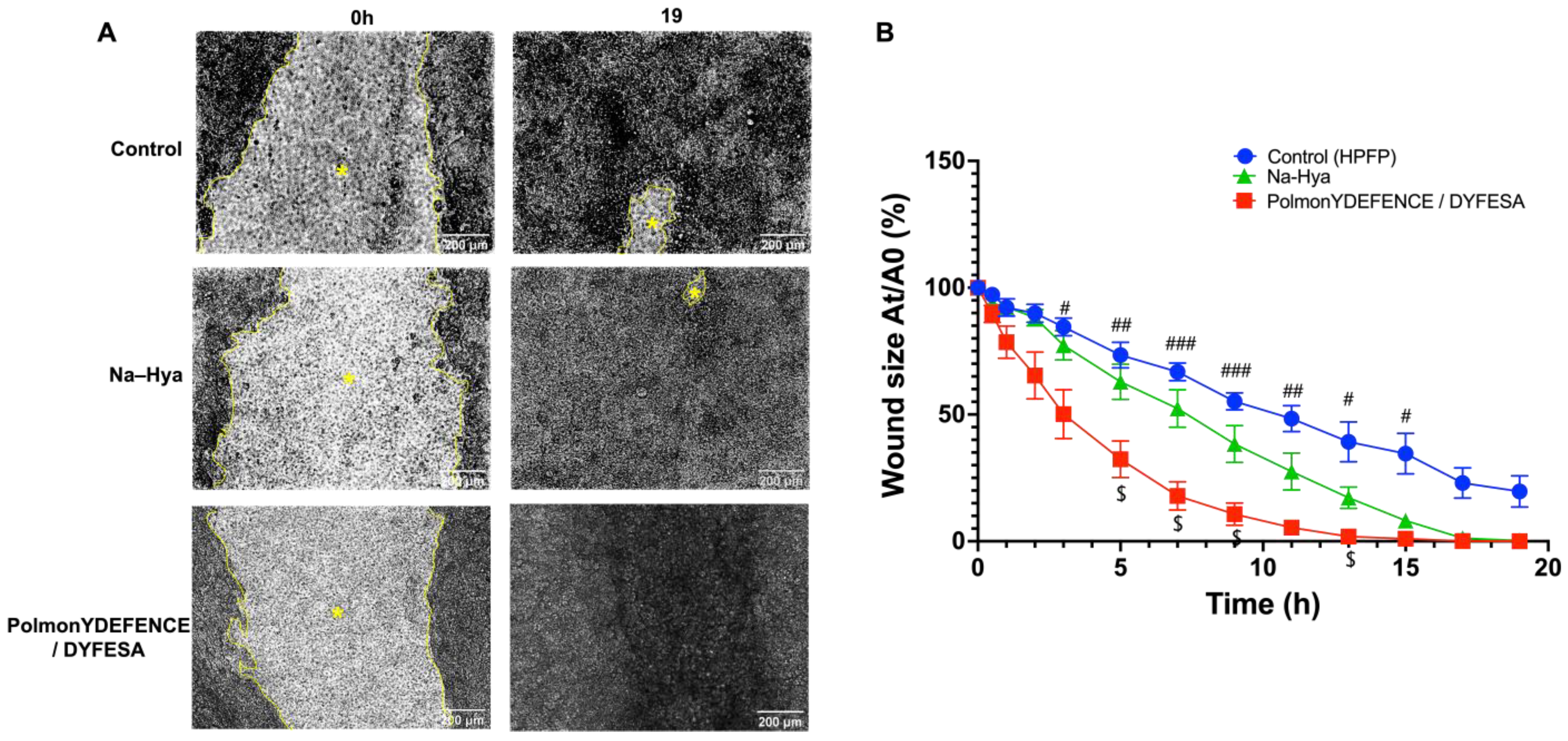 Pharmaceutics 14 01323 g004