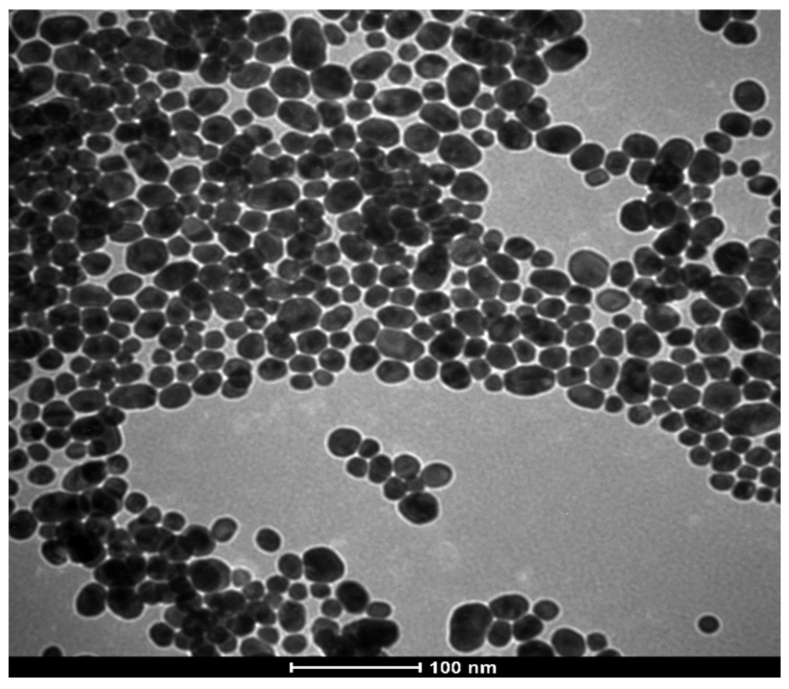 Pharmaceutics 14 01324 g002
