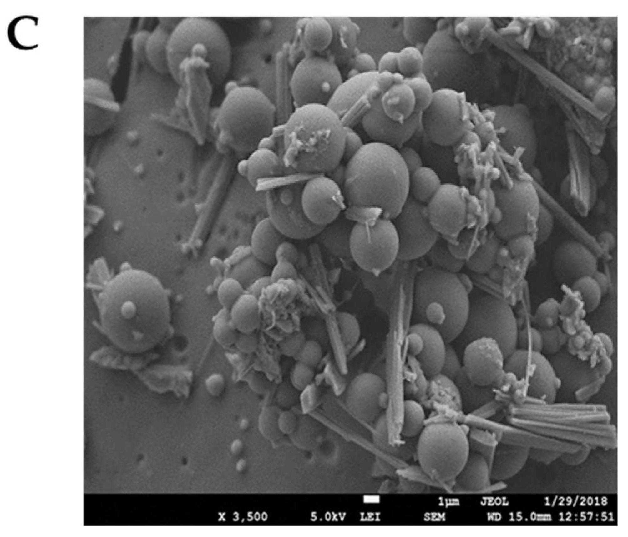 Pharmaceutics 14 01326 g001b