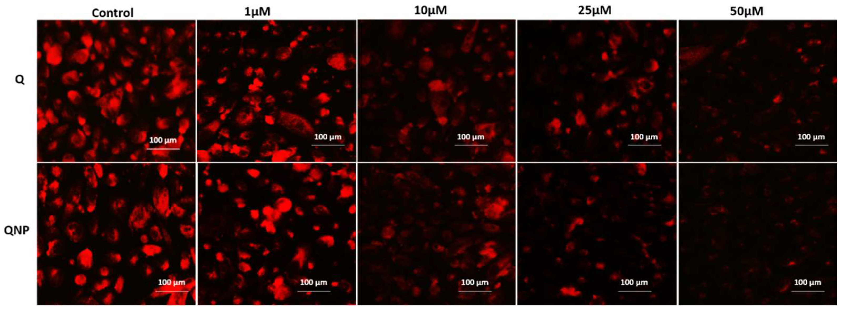 Pharmaceutics 14 01326 g007