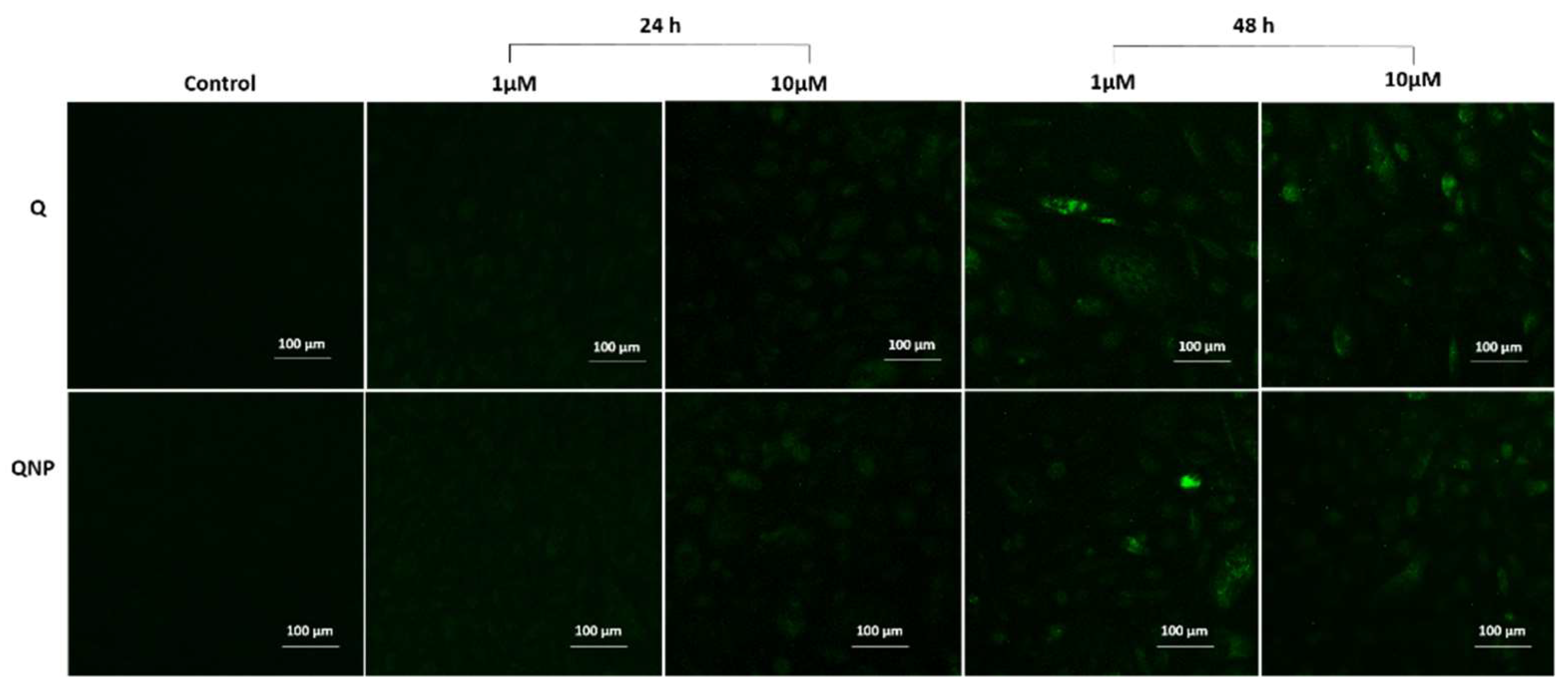 Pharmaceutics 14 01326 g008