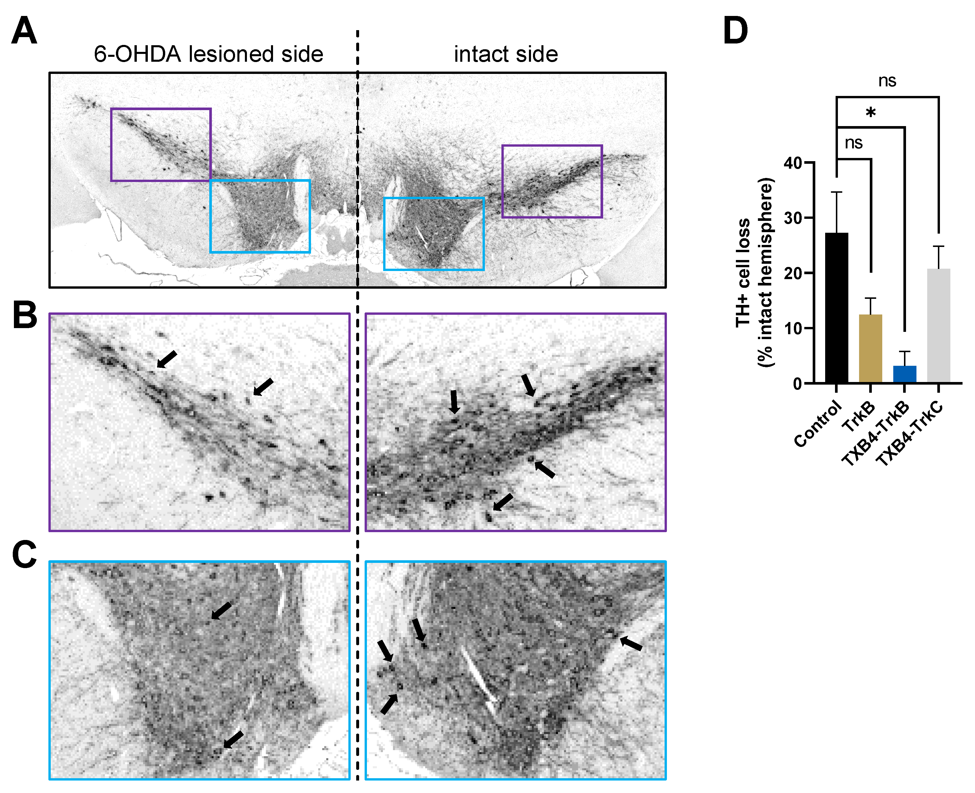 Pharmaceutics 14 01335 g005