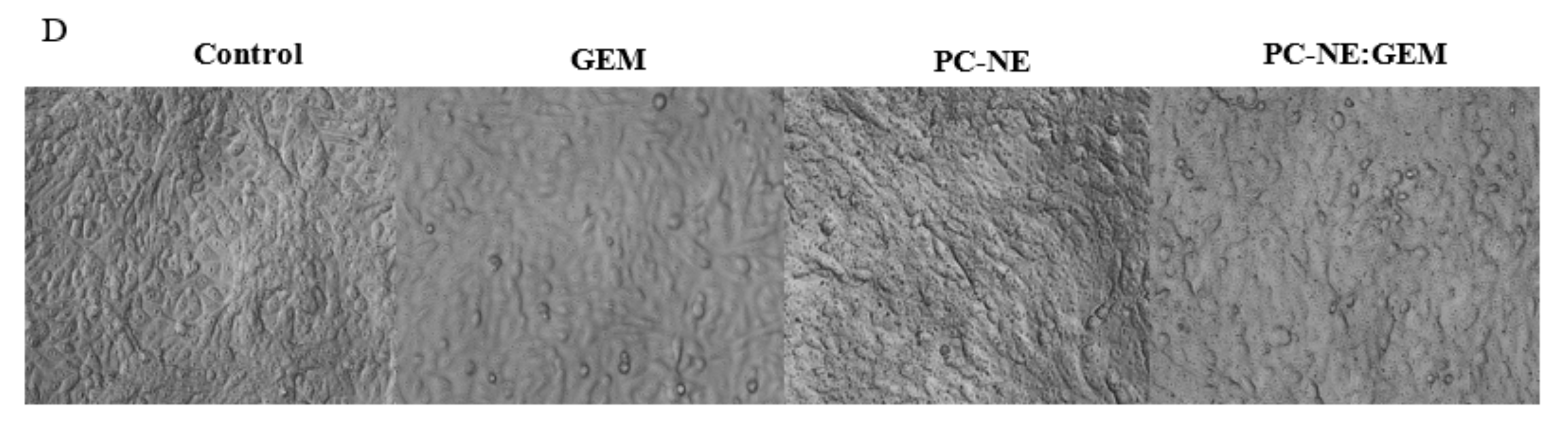 Pharmaceutics 14 01336 g007b