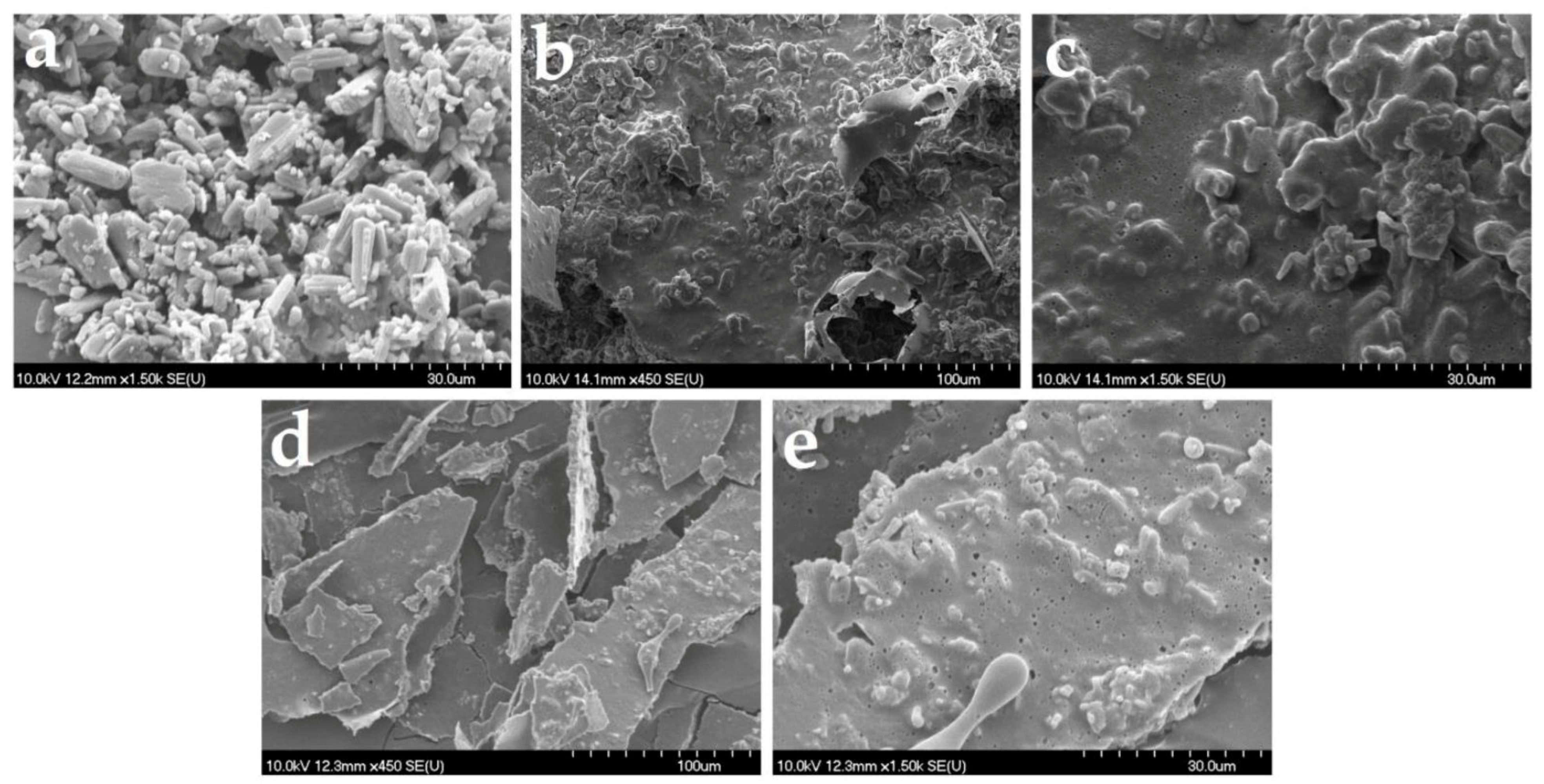 Pharmaceutics 14 01342 g009