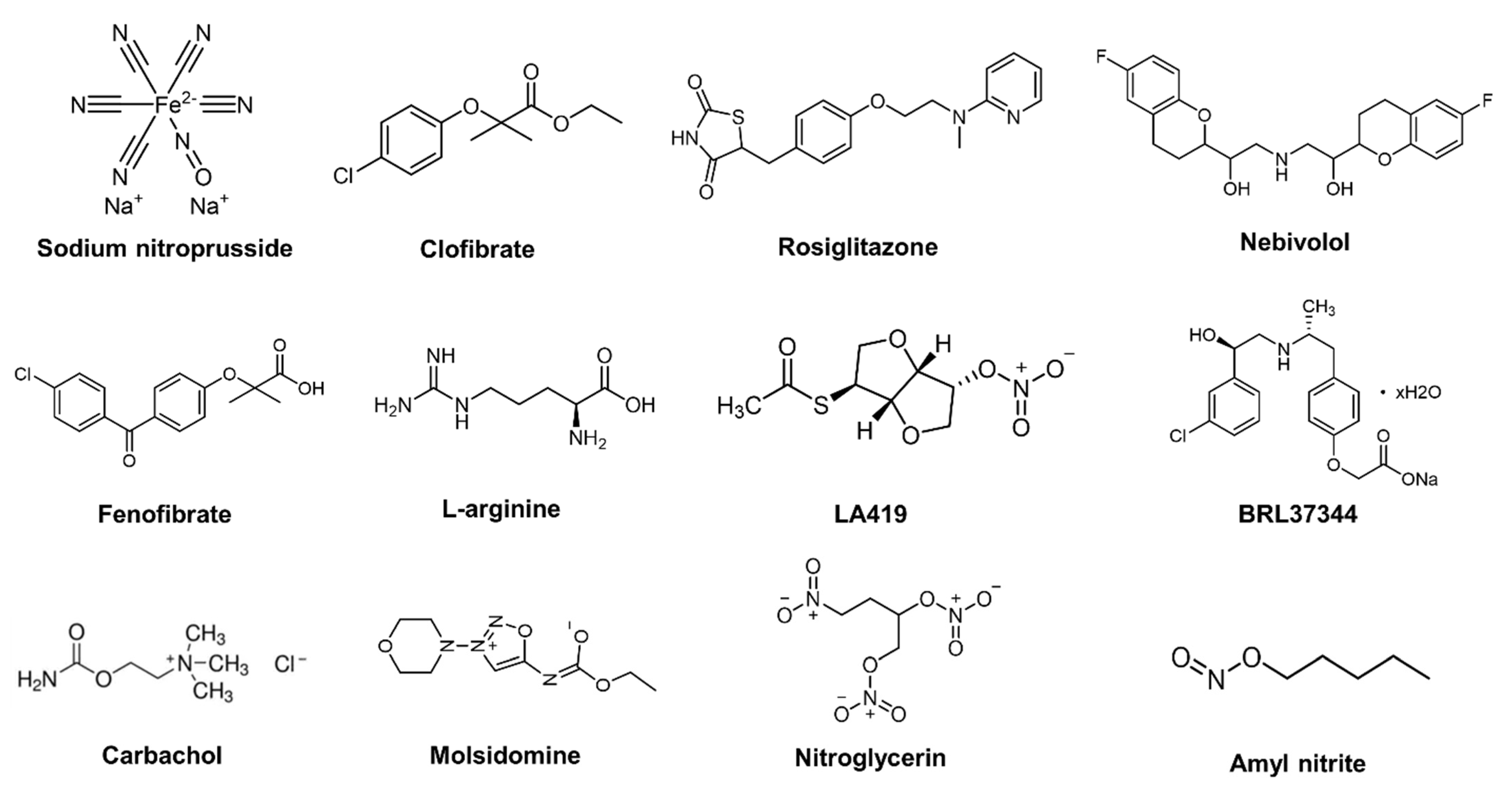 Pharmaceutics 14 01345 g001