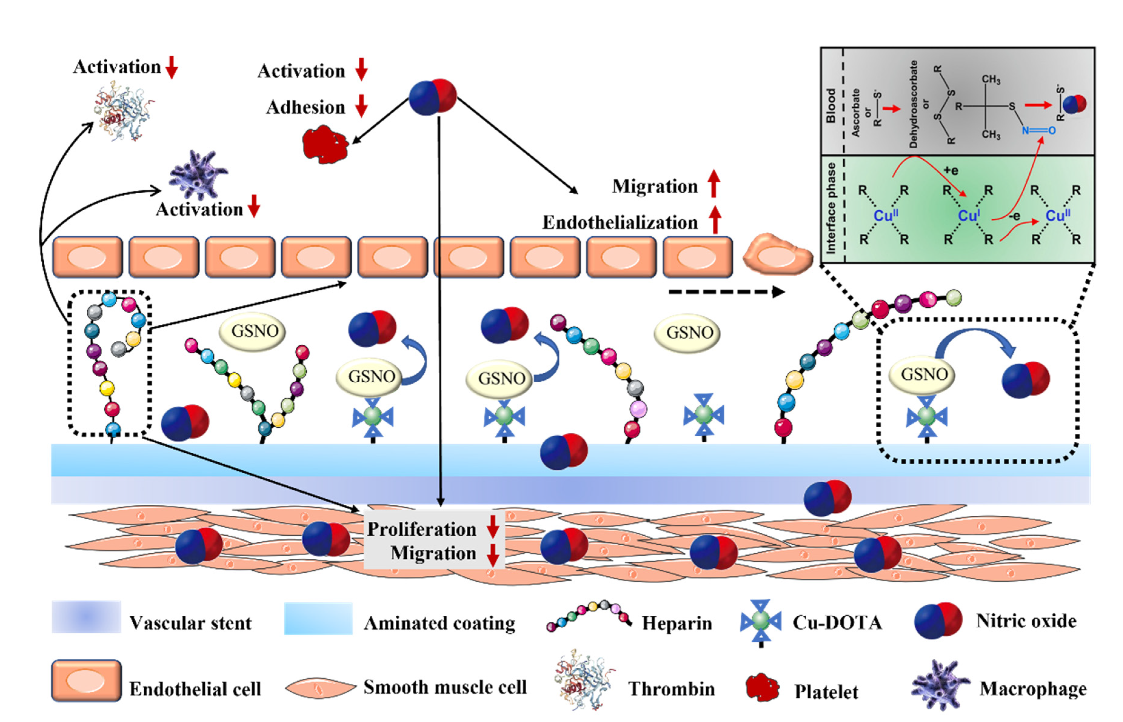 Pharmaceutics 14 01345 g004