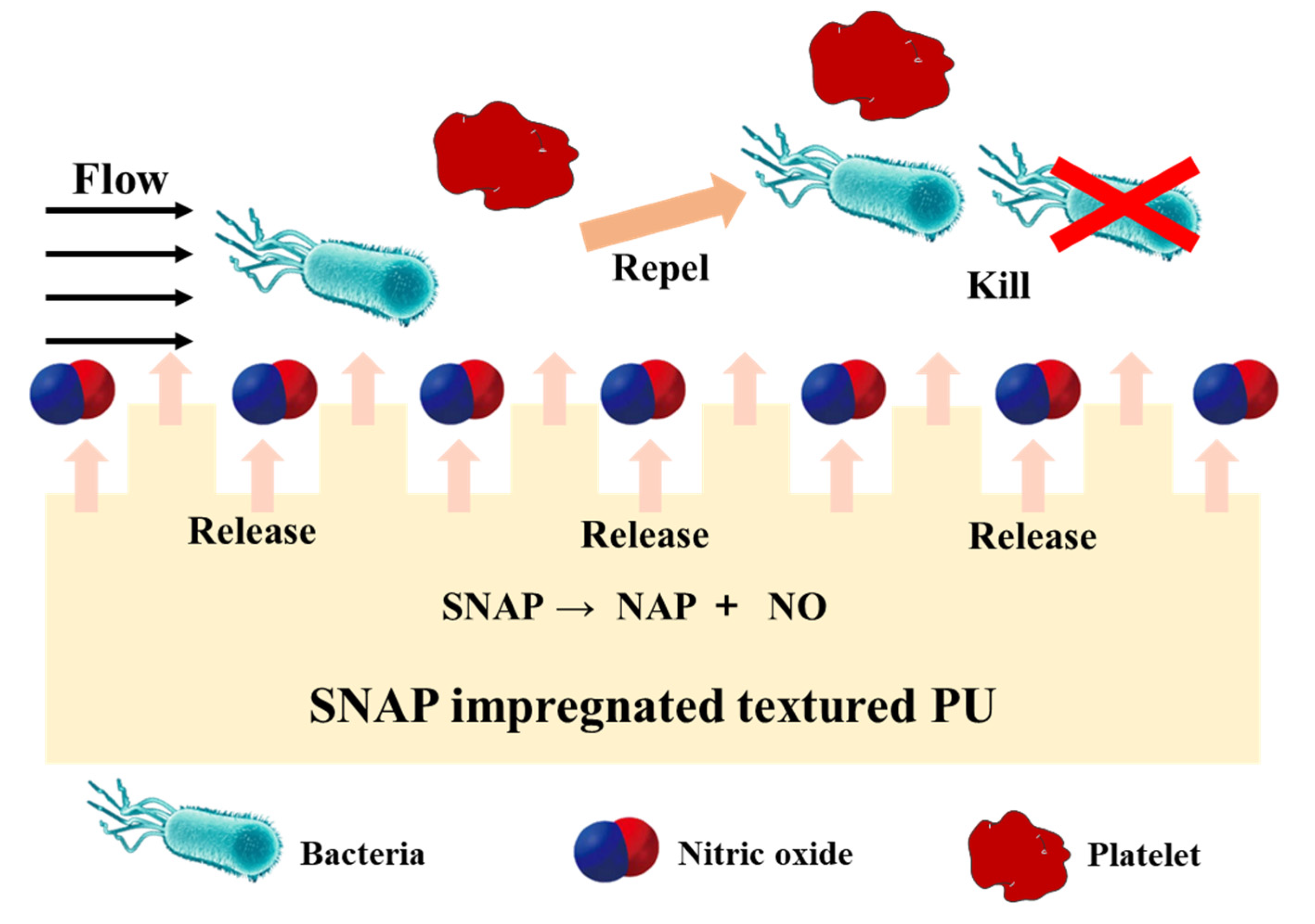 Pharmaceutics 14 01345 g005