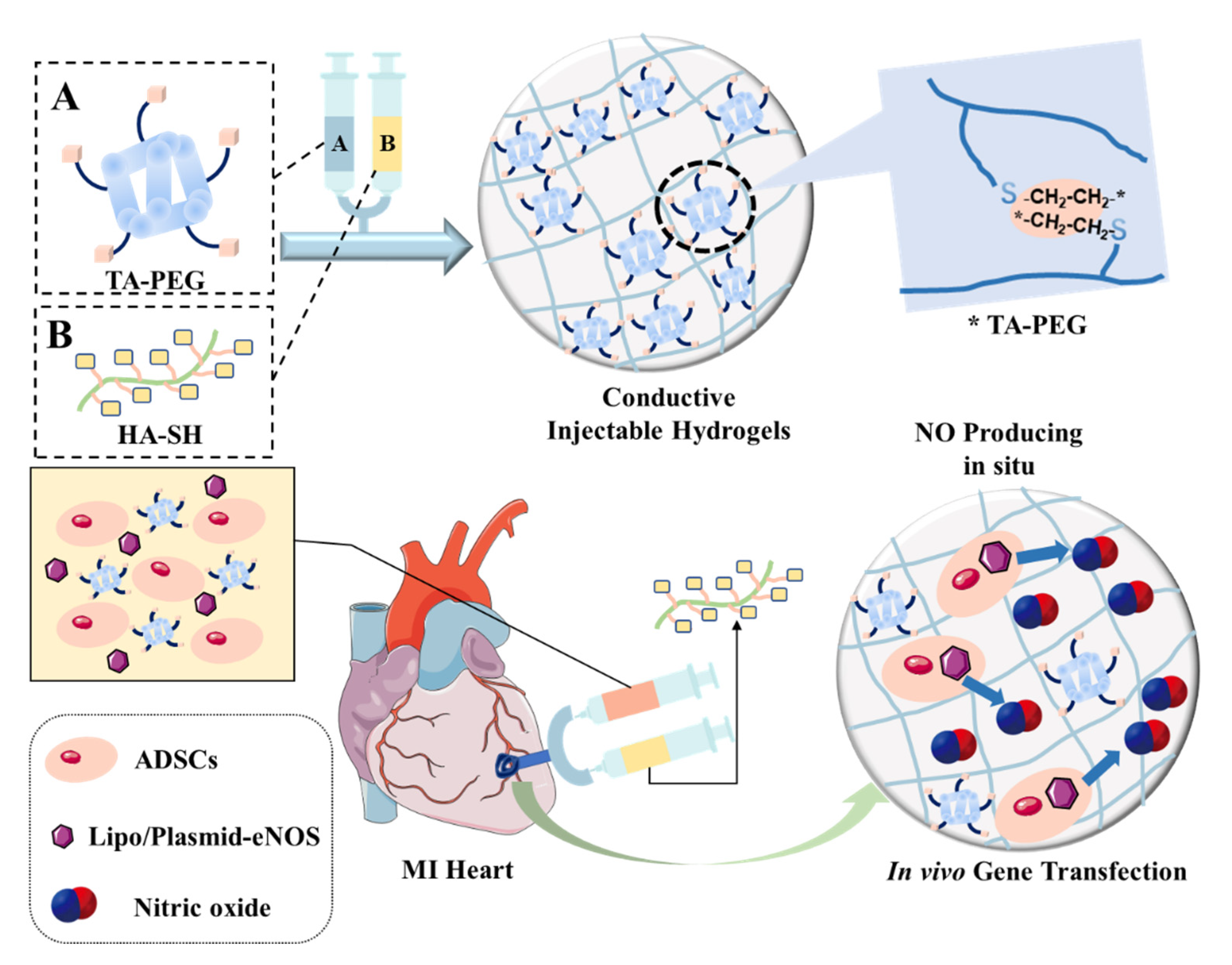 Pharmaceutics 14 01345 g010