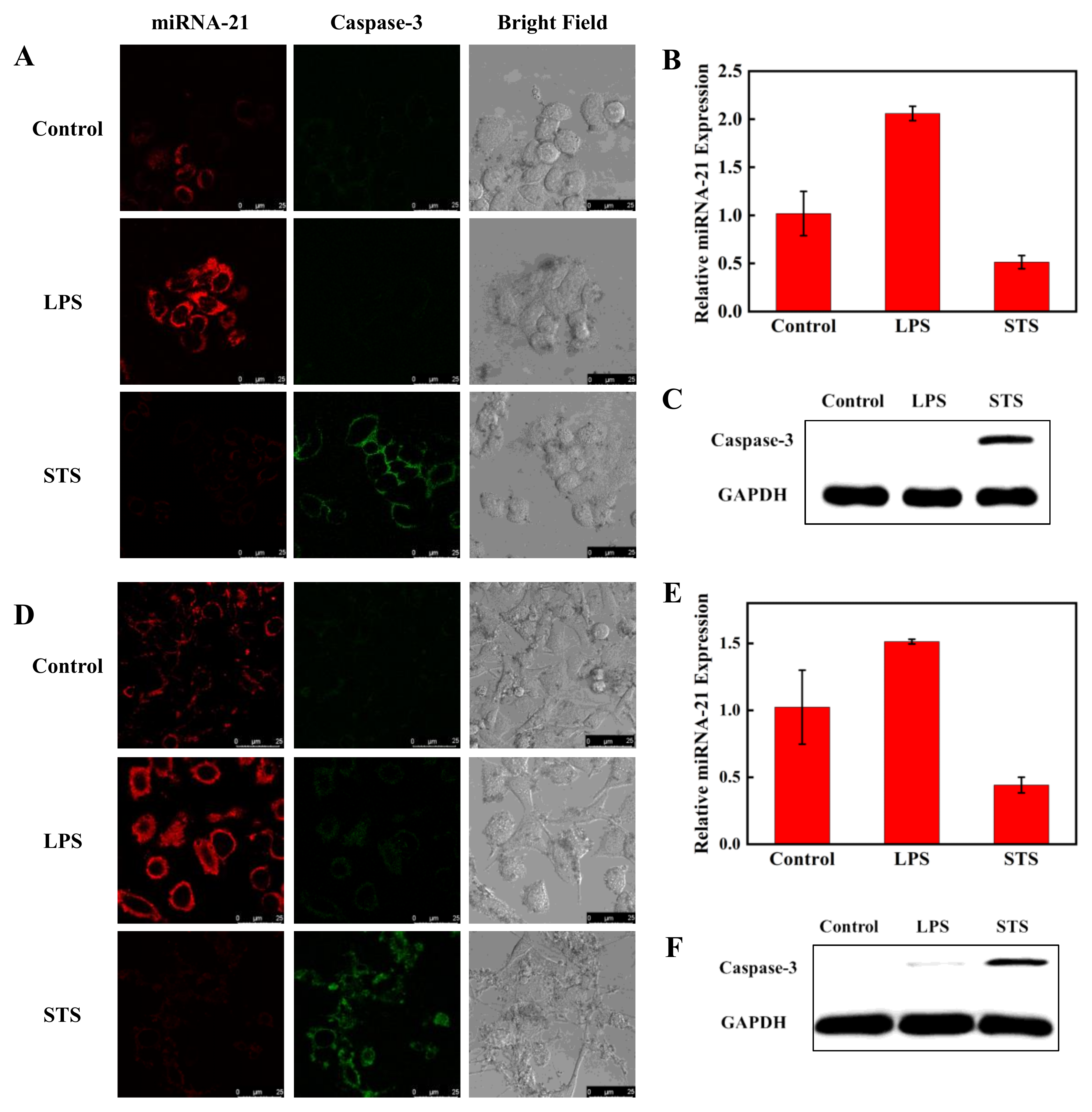 Pharmaceutics 14 01349 g006