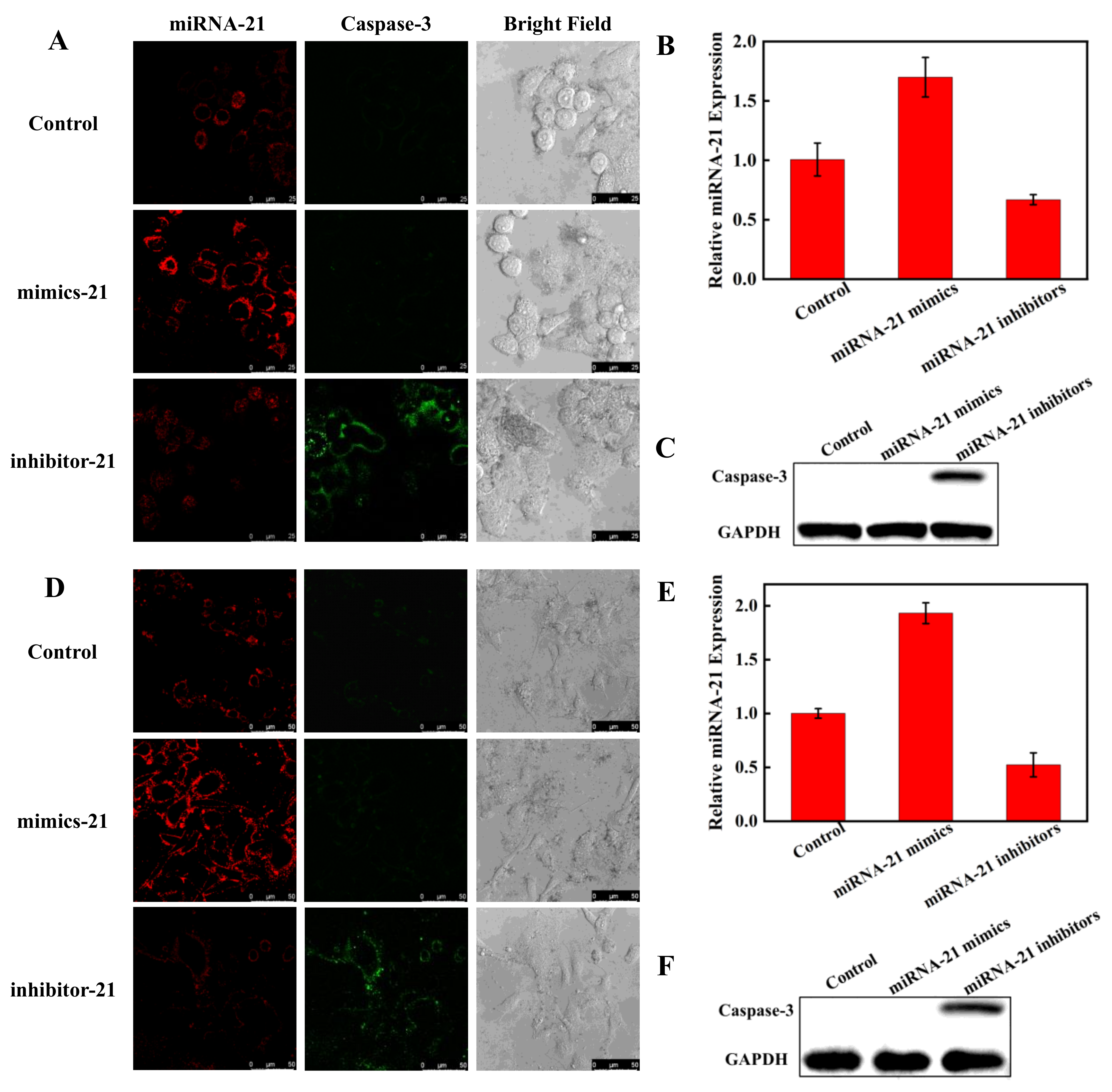 Pharmaceutics 14 01349 g007