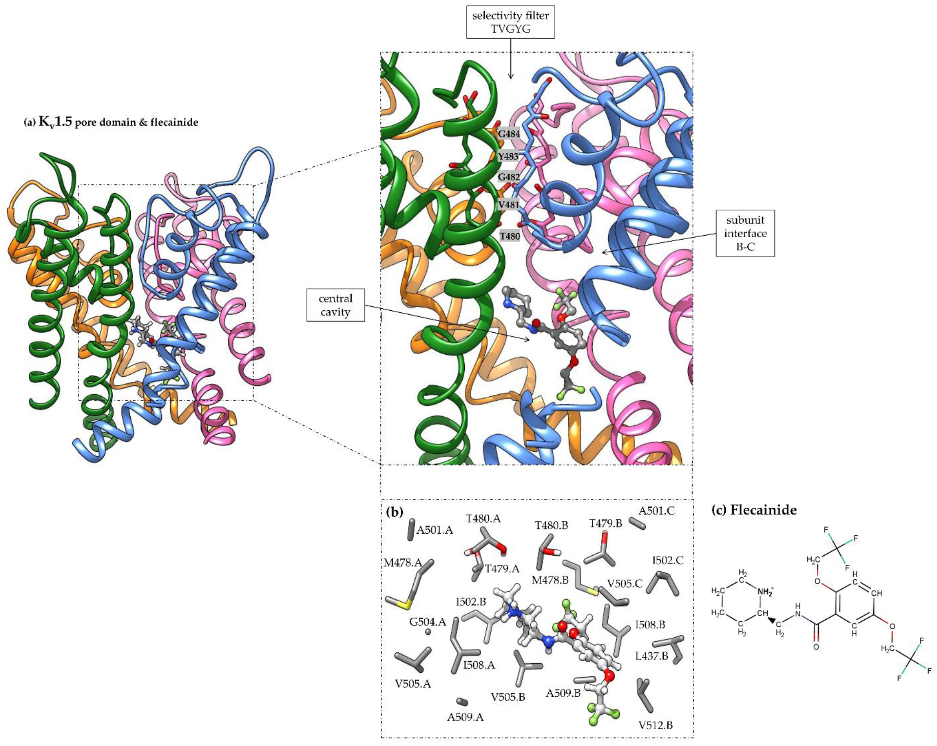 Pharmaceutics 14 01356 g001 Pharmaceutics 14 01356 g001
