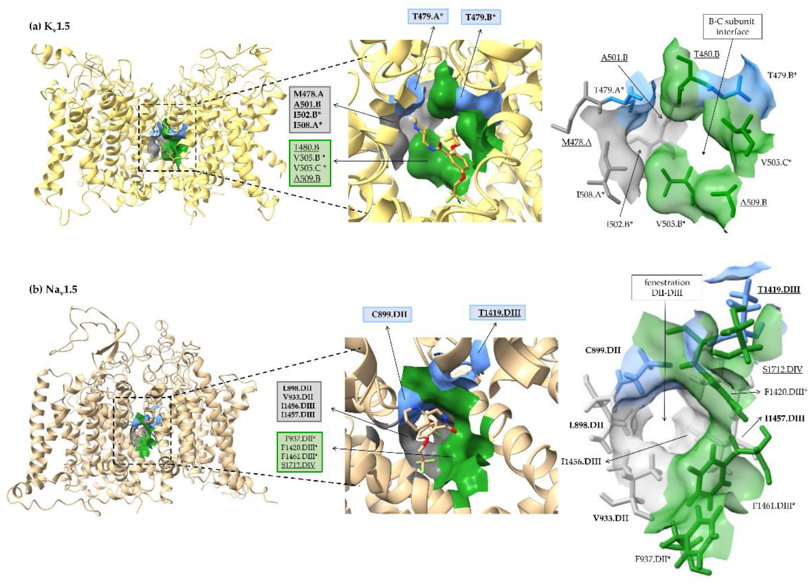 Pharmaceutics 14 01356 g007 Pharmaceutics 14 01356 g007