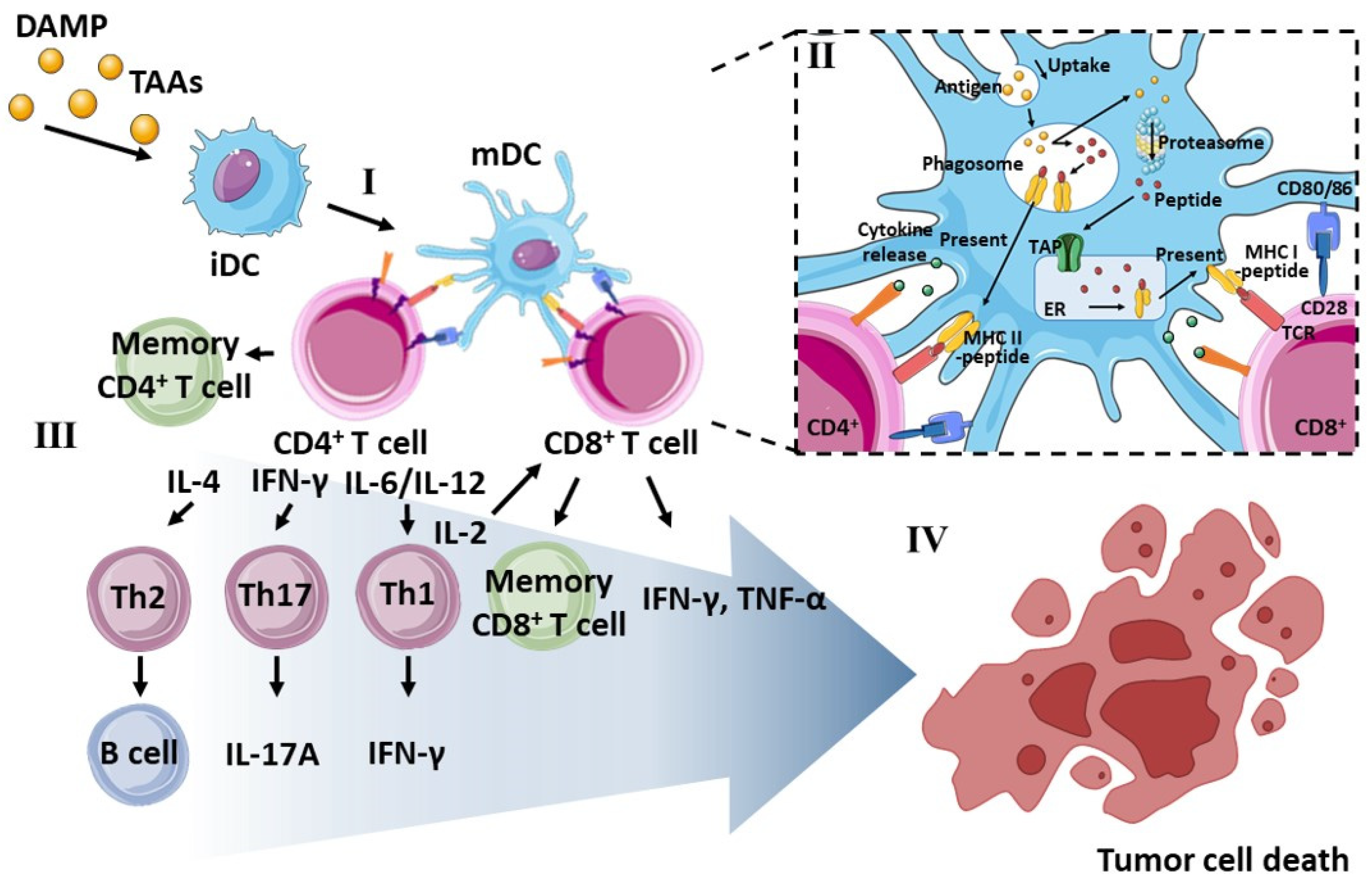 Pharmaceutics 14 01358 g001