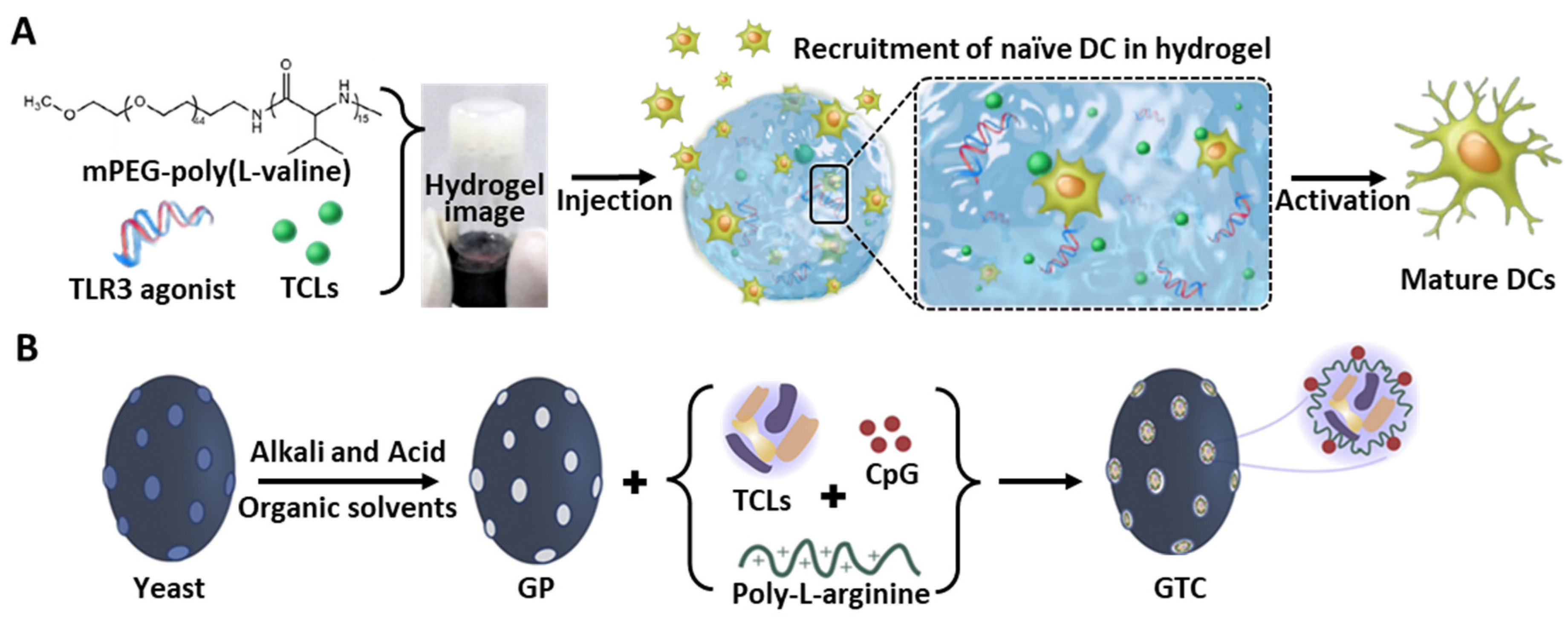 Pharmaceutics 14 01358 g005