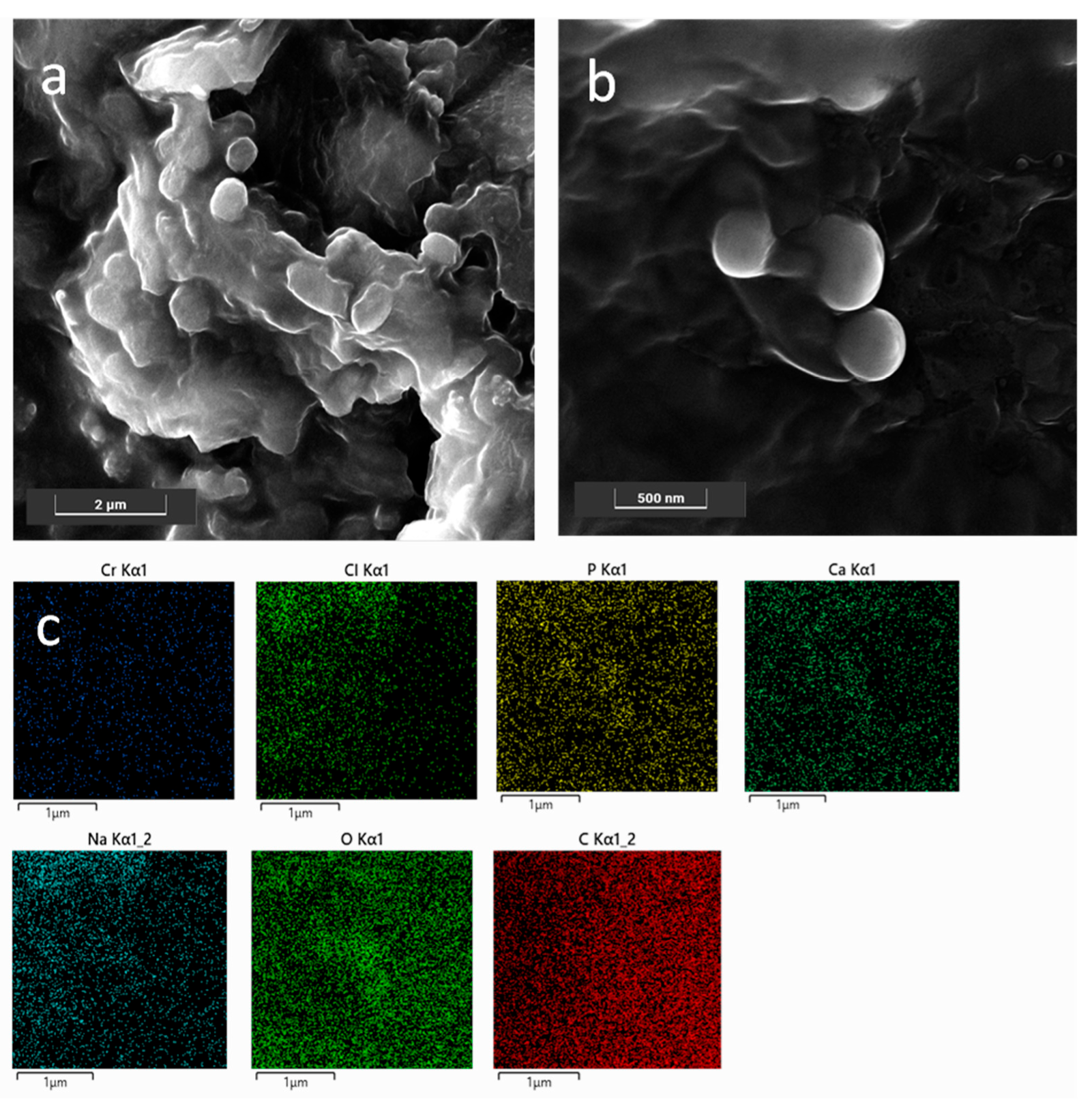 Pharmaceutics 14 01362 g001
