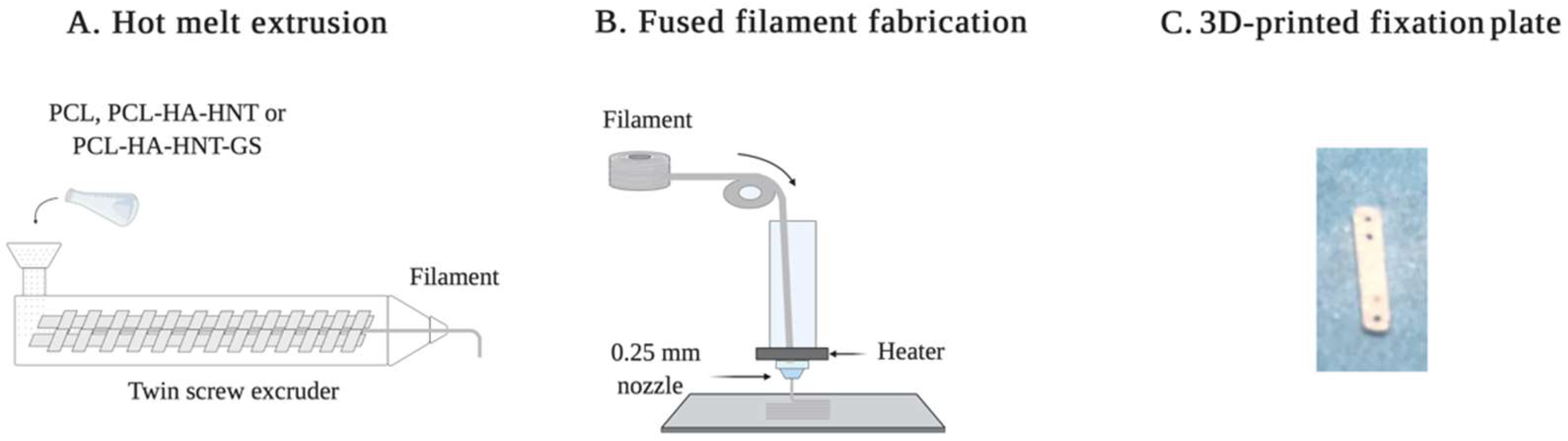 Pharmaceutics 14 01363 g001
