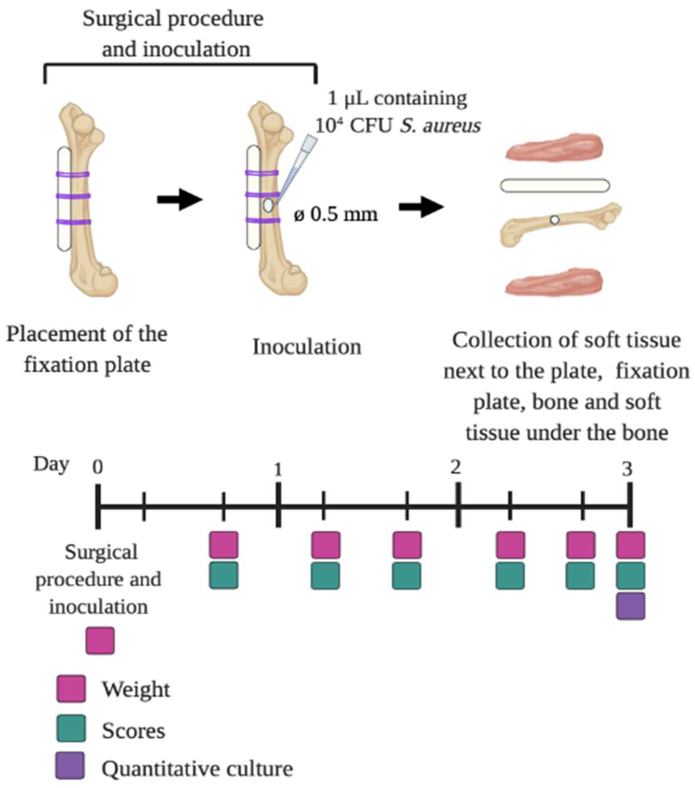 Pharmaceutics 14 01363 g003