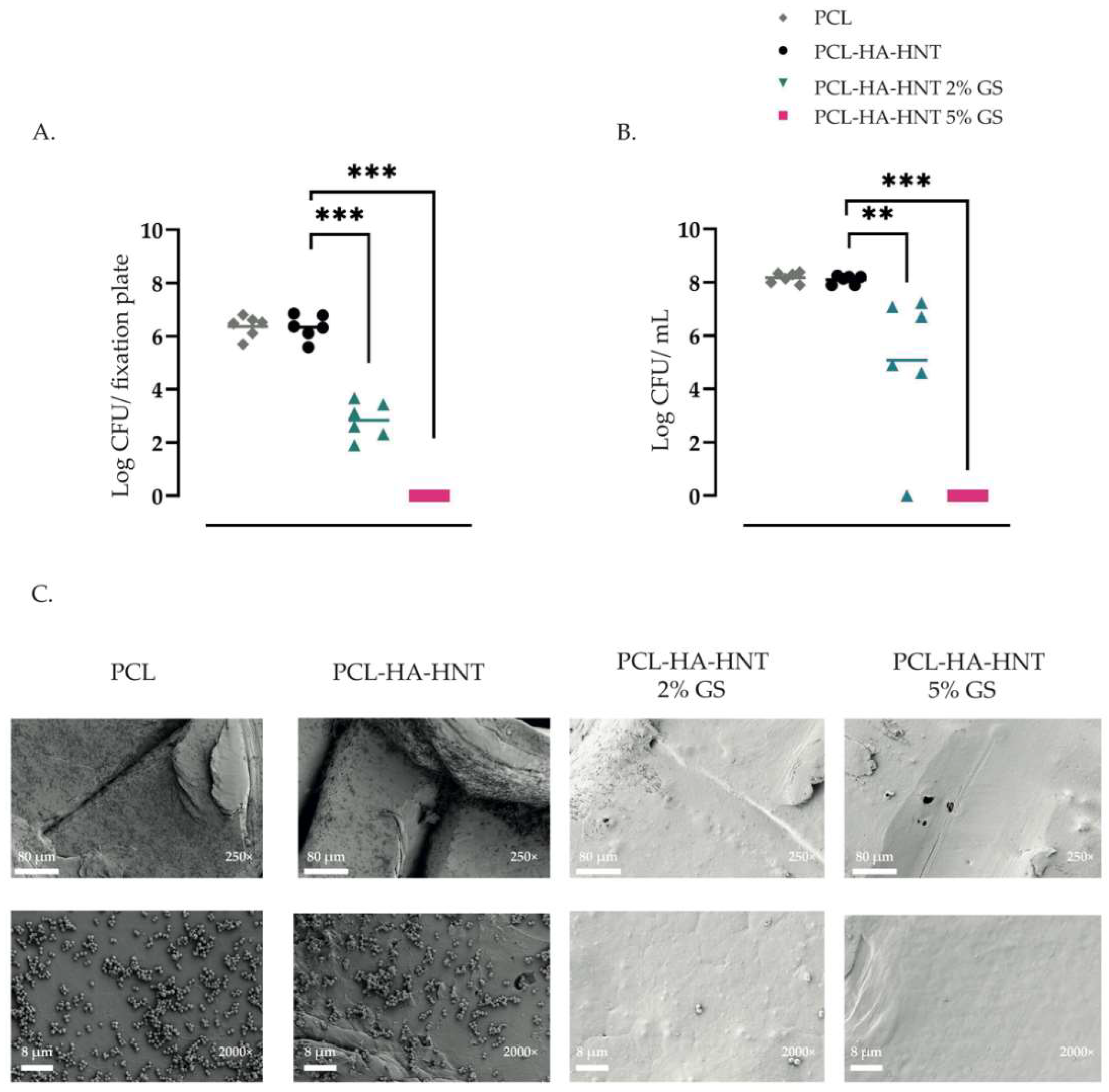 Pharmaceutics 14 01363 g008