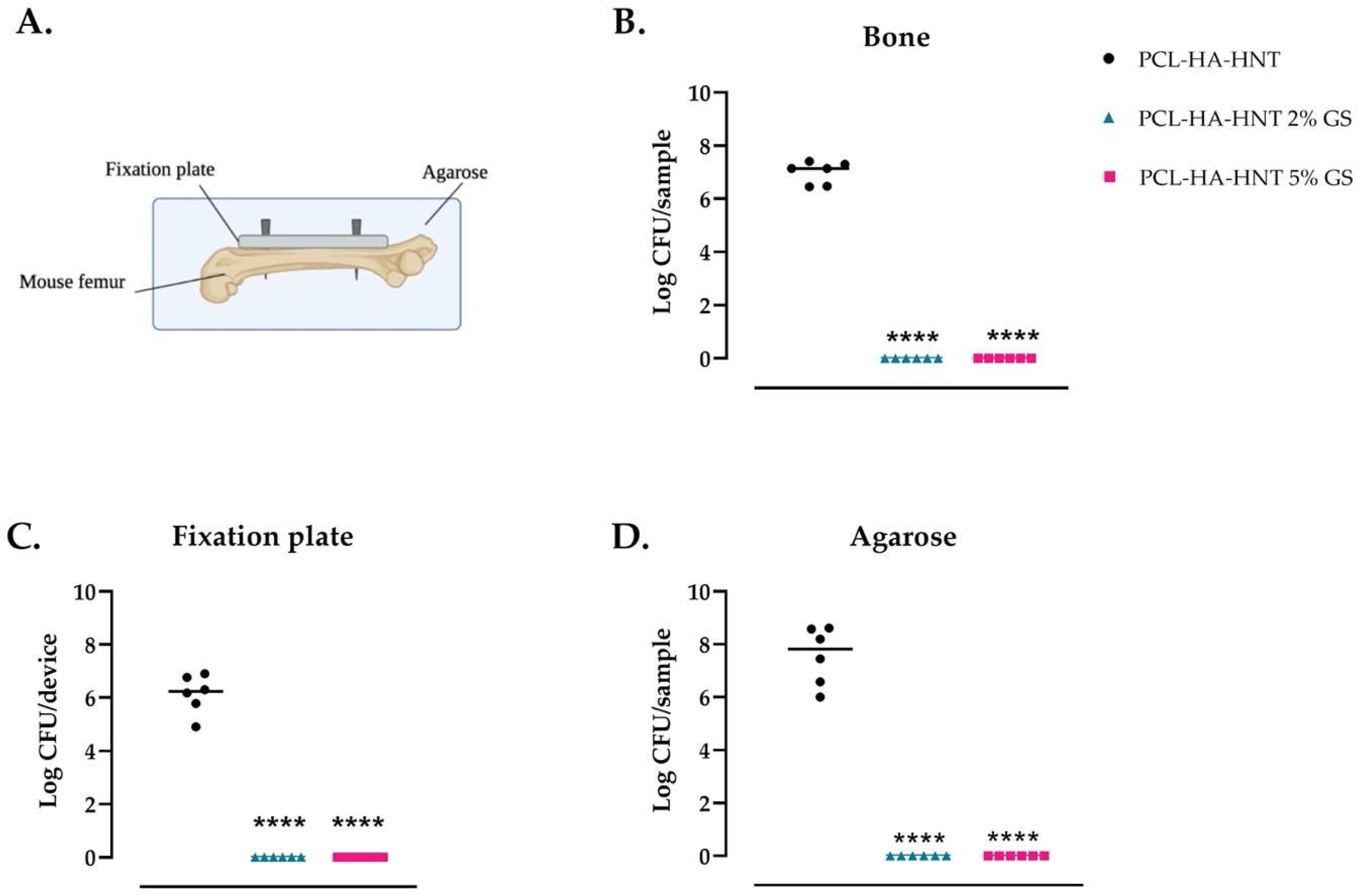 Pharmaceutics 14 01363 g009