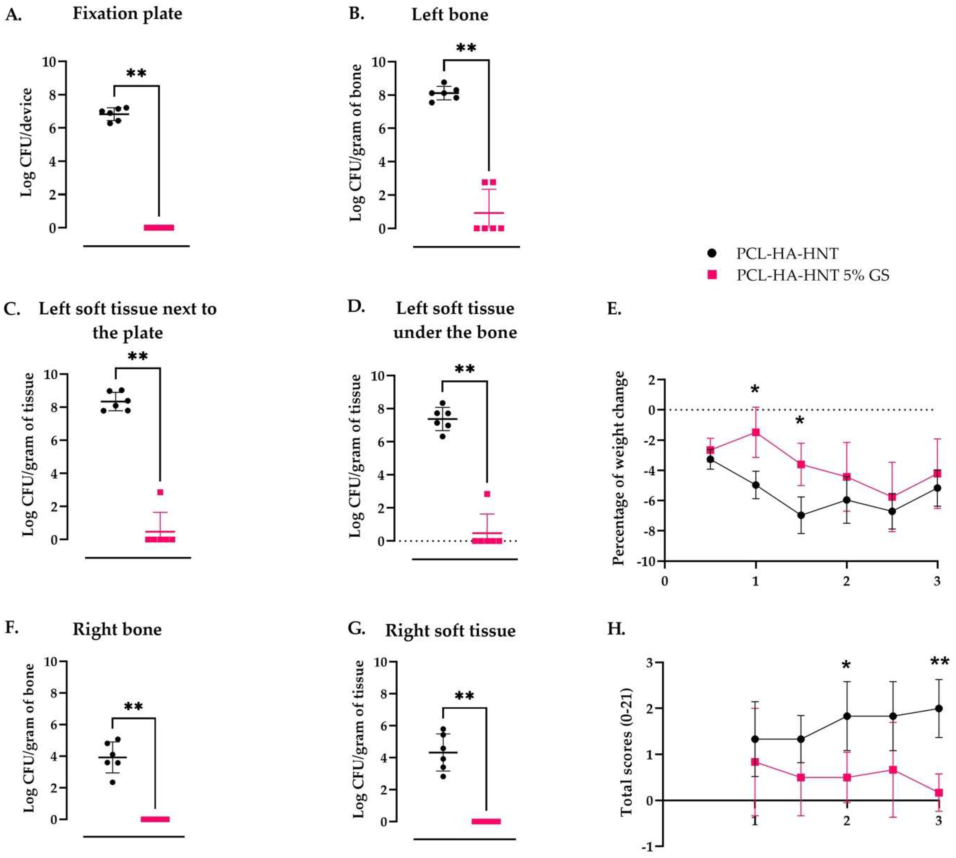 Pharmaceutics 14 01363 g010