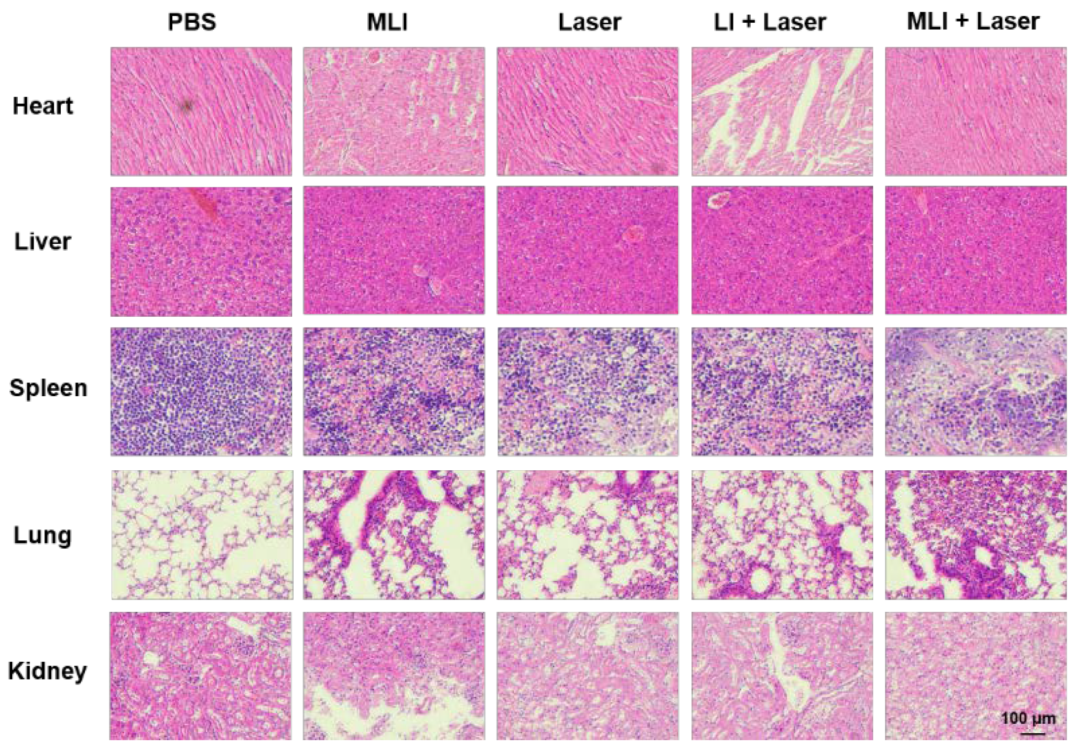 Pharmaceutics 14 01367 g006