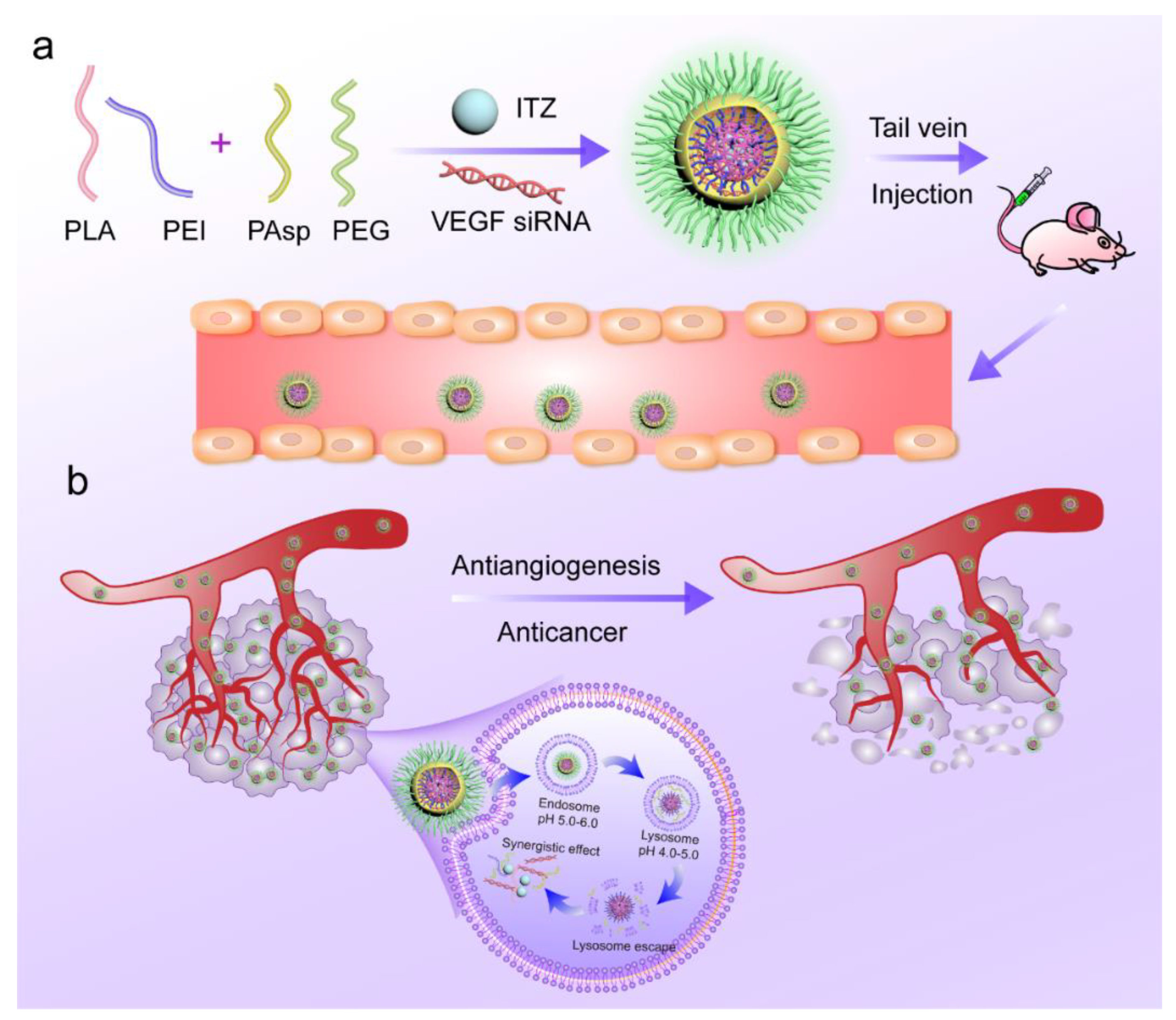 Pharmaceutics 14 01369 g001 Pharmaceutics 14 01369 g001