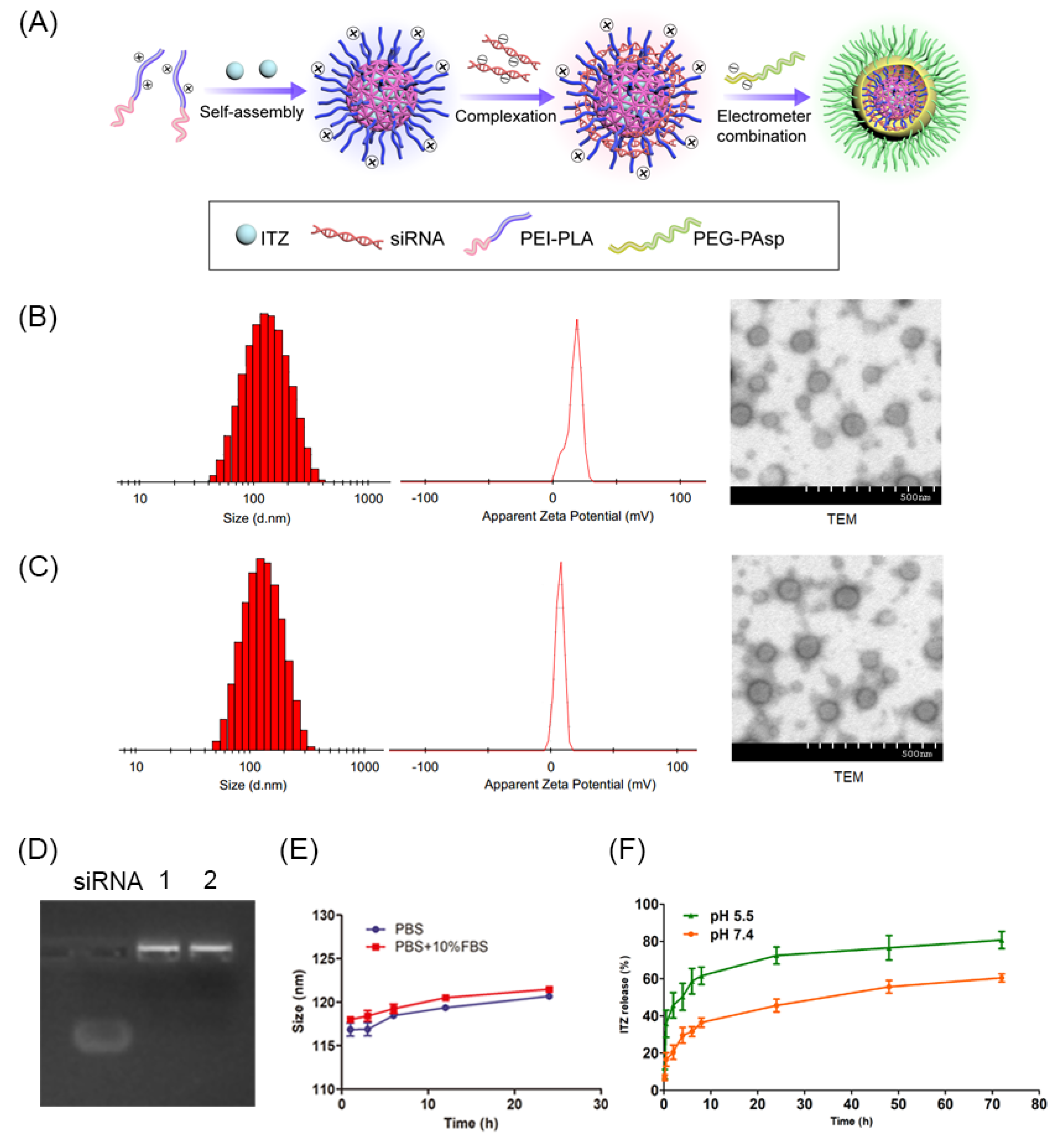 Pharmaceutics 14 01369 g003 Pharmaceutics 14 01369 g003